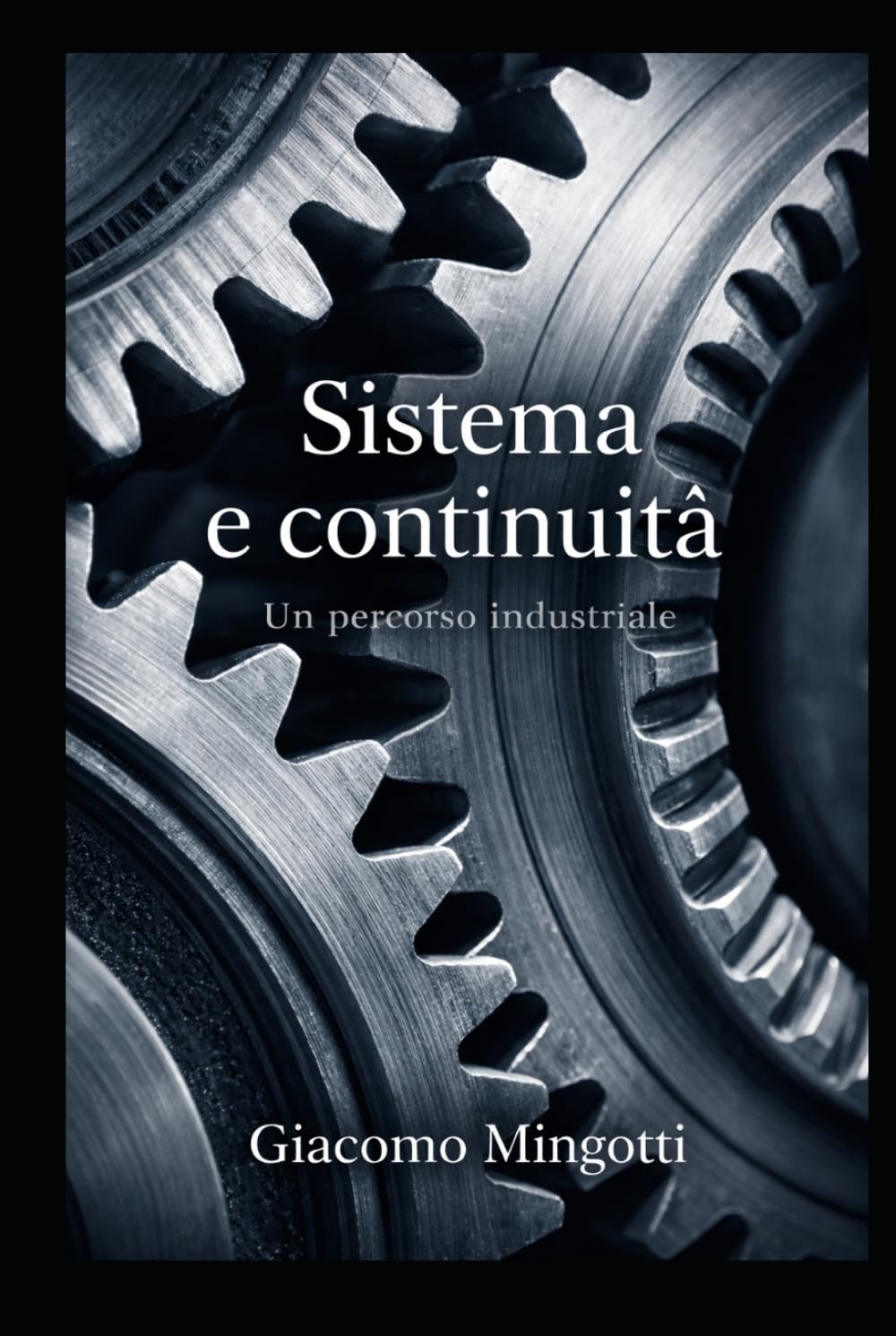 Sistema e continuità: Un percorso industriale