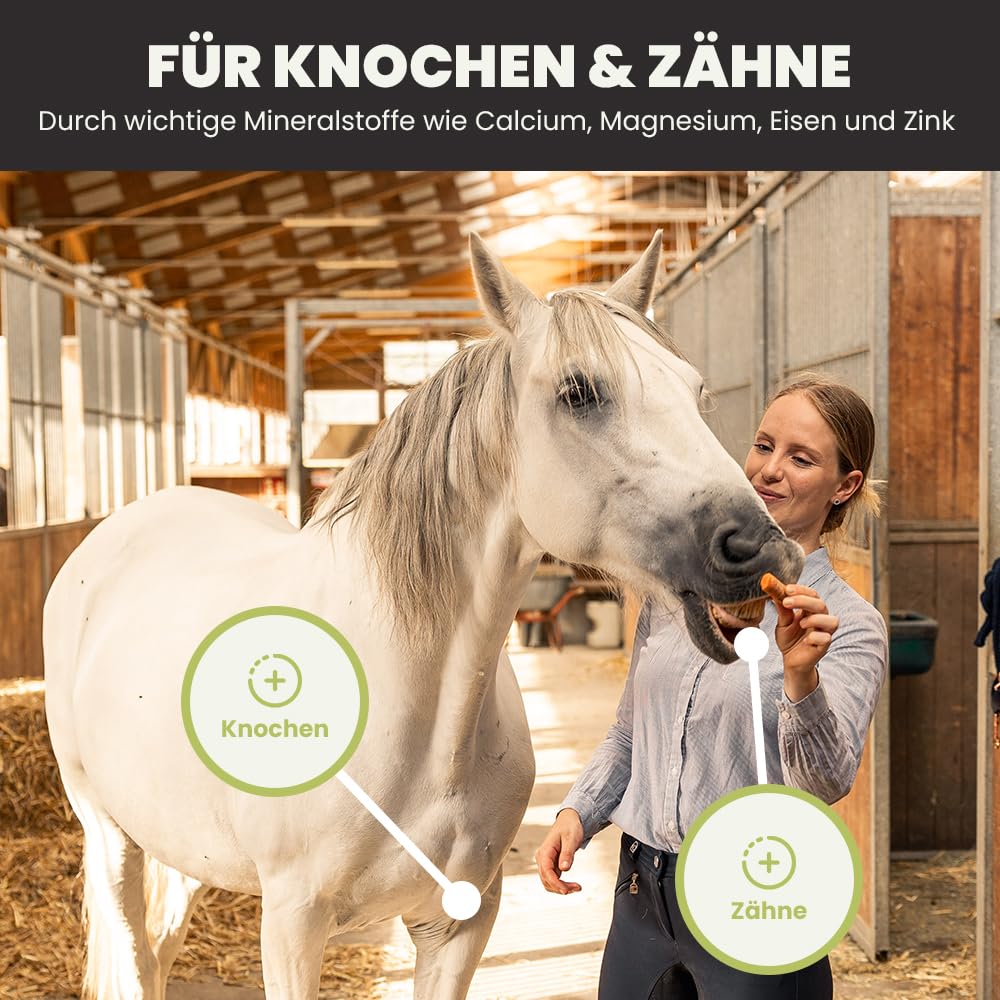 SANUUS PFERDESTARK Bio Hanf Pellets Pferdefutter getreidefrei Mineralfutter 10kg - Natürliche Premium Hanfkuchen Nahrungsergänzung für Pferdemüsli ohne Zucker mit Omega 3-6-9, Vitaminen & Eiweiß