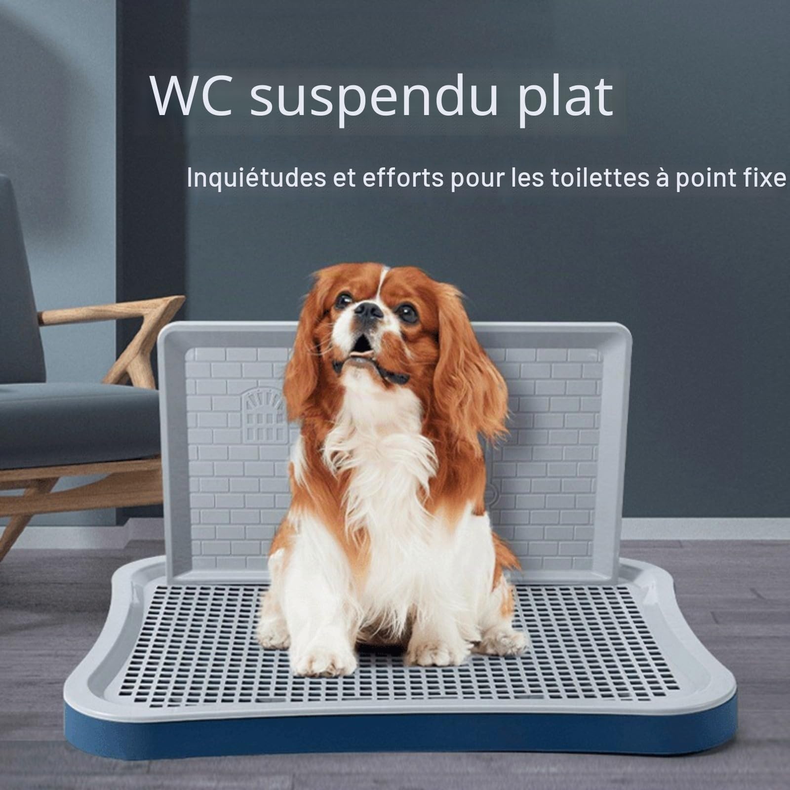 WC pour chiens avec porte de pipi avec paroi haute, facile à nettoyer, gardez la litière pour chiots de chiots à sec de la patte pour immeubles d'appartements, grand bleu, toilettes pour chiens