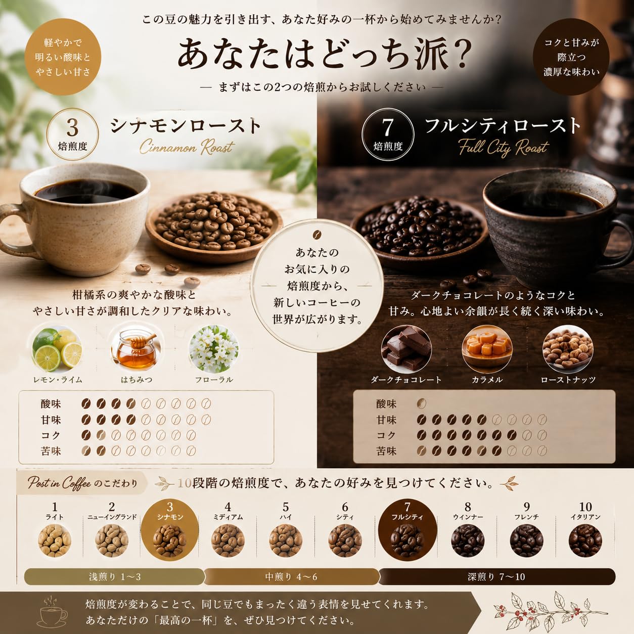 Amazon | Dr-i-gama クラッシック珈琲 コーヒー 直火焙煎豆 タンザニア