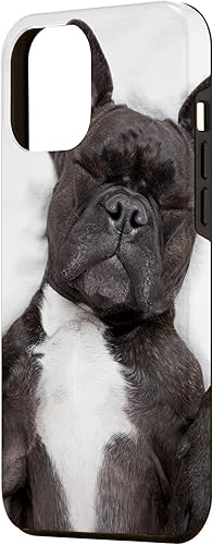 Miniatura 2 de Funda para iPhone 15 Pro Max Bulldog Francés