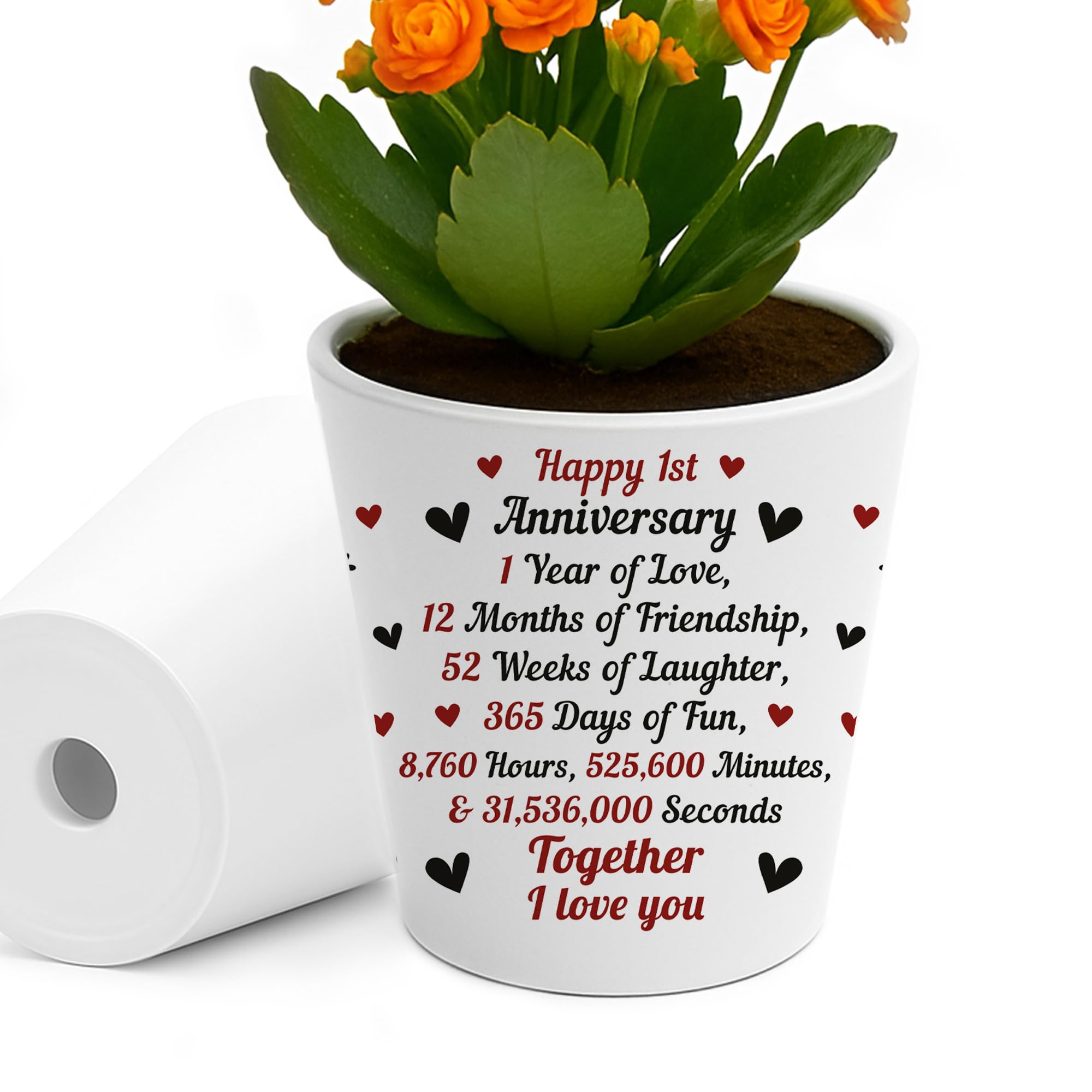 RED OCEAN 1st For Wife Girlfriend Boyfriend Couple Gift Plant Pot 10cm x 9cm Gift For Wedding Anniversary Husband Couple Friend One Year Gifts Him Her