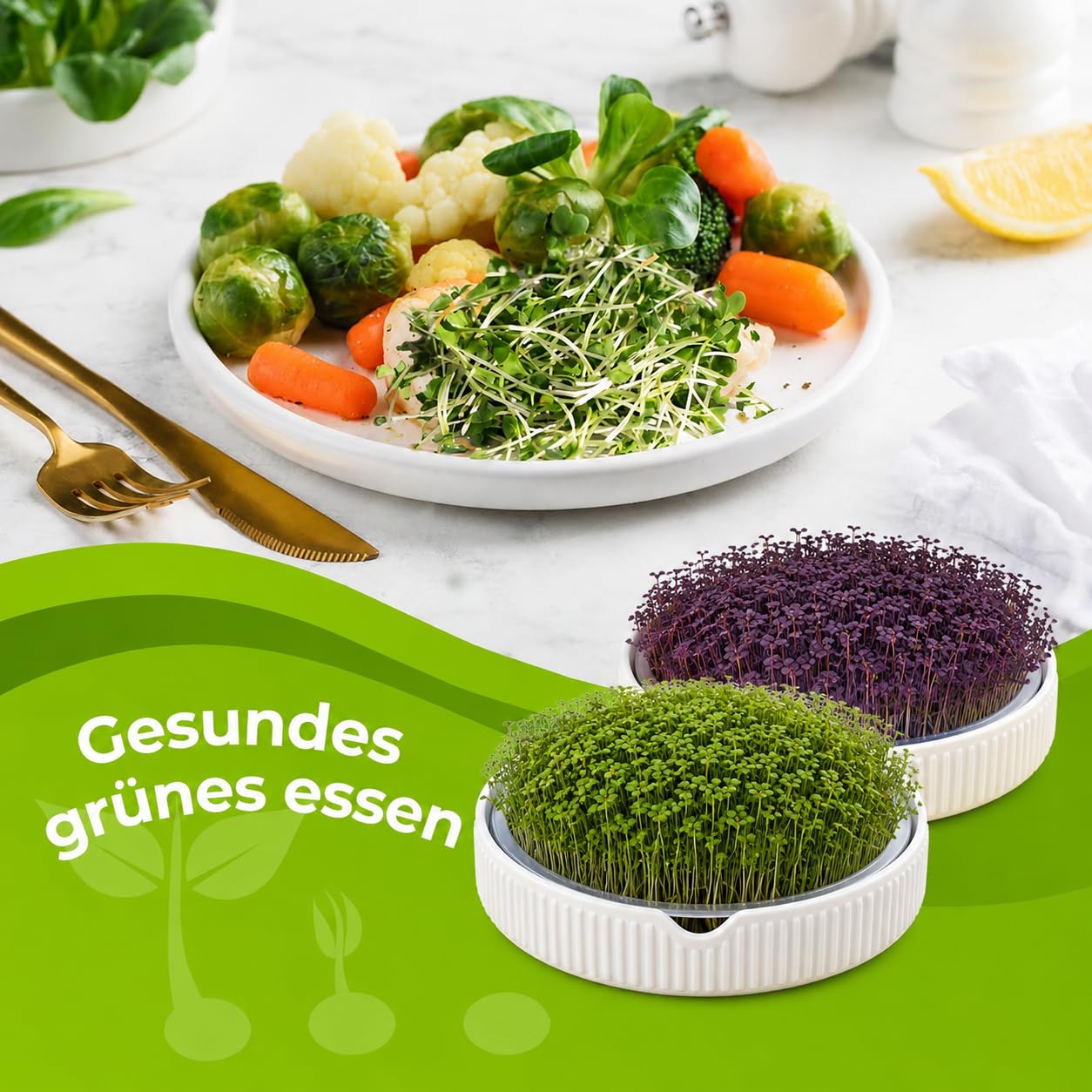 ecooe Kresse Anzuchtschalen 2er Set –Ø 15 cm Kressesieb mit Edelstahlsieb, Keimschale mit Pflanzanleitung, Microgreens Anzuchtschalen, keimglas für Sprossen, Weiß Premium Keramik sprossenglas