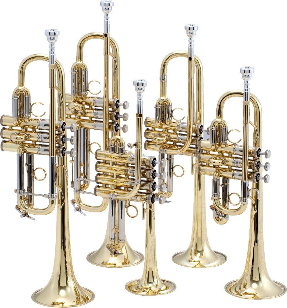 Bach Trumpet (AB190S) : Musical Instruments