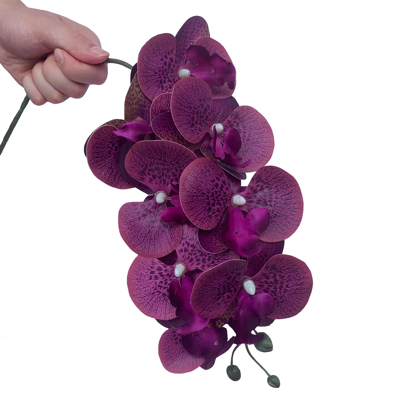 Orchidea Viola Artificiale (2 Pezzi) In Seta – 75 Cm, Per Interni Ed Esterni, Resistente UV E Antigelo