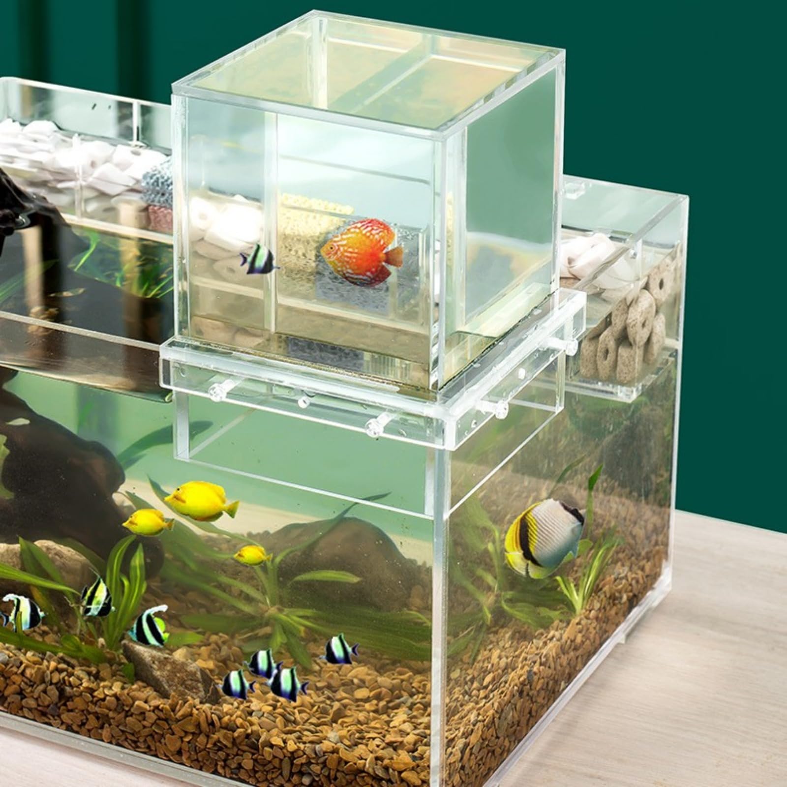 Acquario Da Tavolo Per Pesci Betta 32x18.5x23cm - Piccolo Serbatoio Trasparente Per Pesci Rossi E Tartarughe - Foto 10