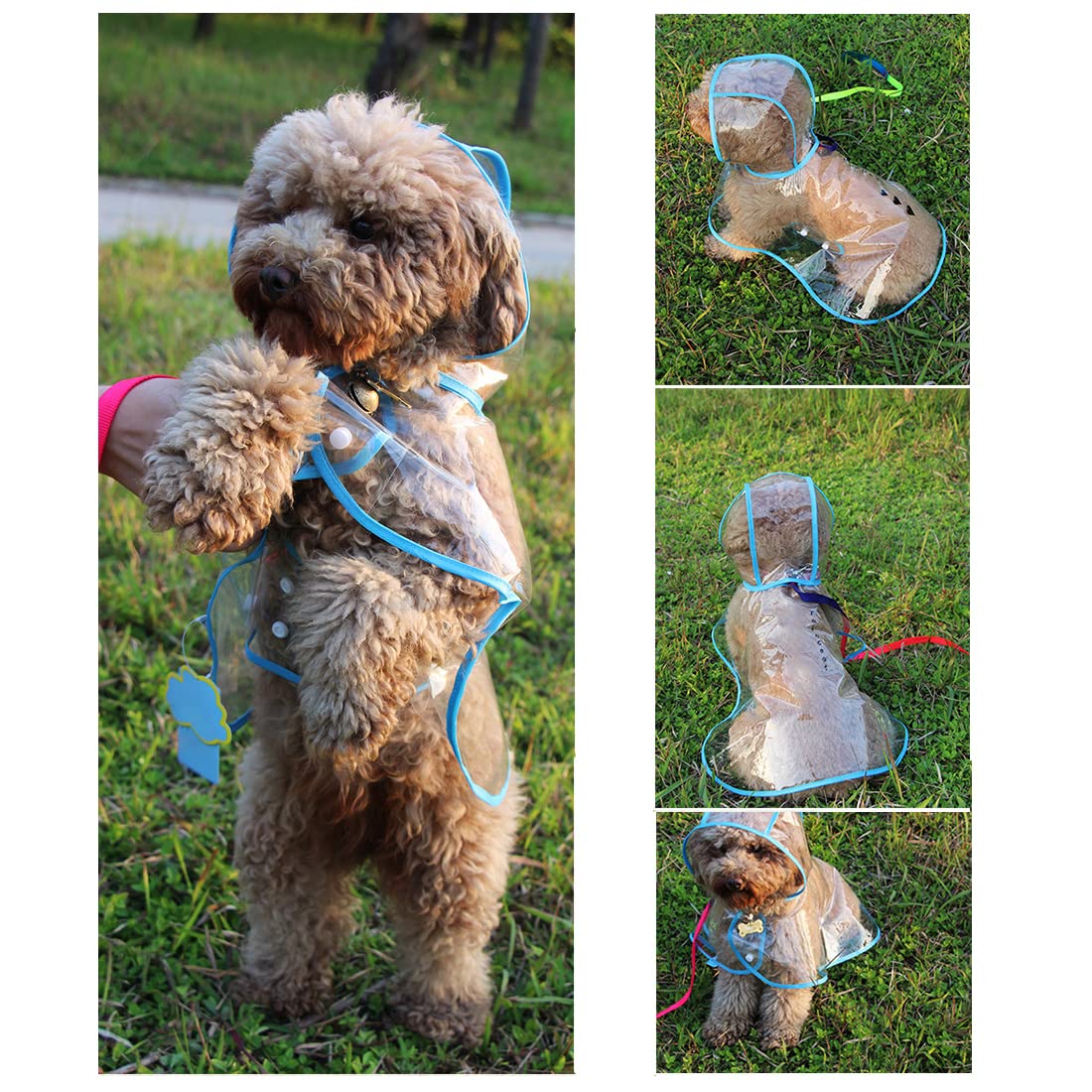 Imperméable pour Chien - Manteau Anti-Pluie Poncho pour Chiens avec Capuche en Nylon Transparent, Réglable et facile à porter, Imperméable et résistant au vent pour Chiens de Petite et Moyenne (XL)