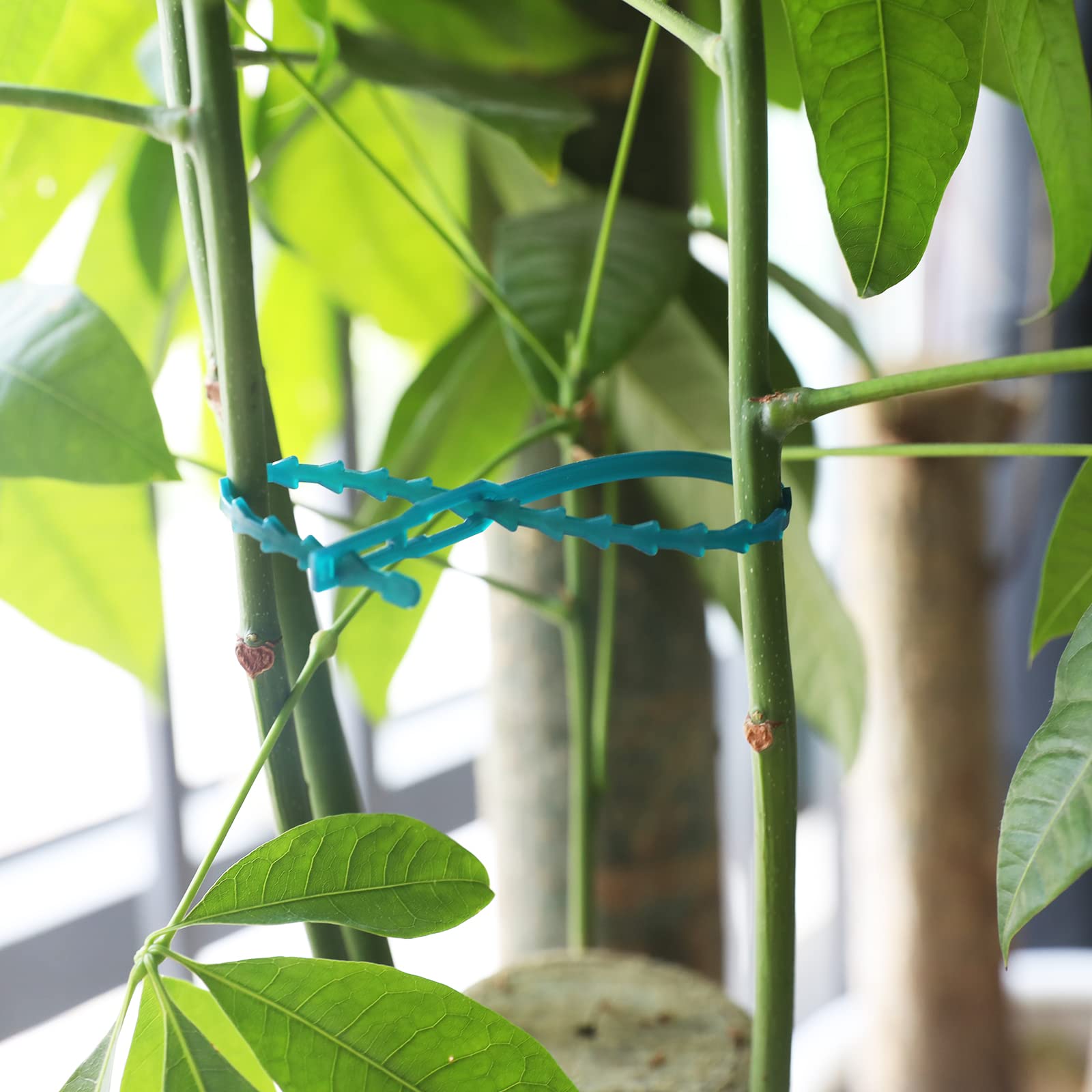 KINGLAKE 200 pièces17 cm Attaches Plantes réglables, Attaches de Tomate Arbre Flexibles, Liens de Jardinage pour Ligatures, Attache Tuteur Jardin en Plastique pour Le Soutien des Plantes