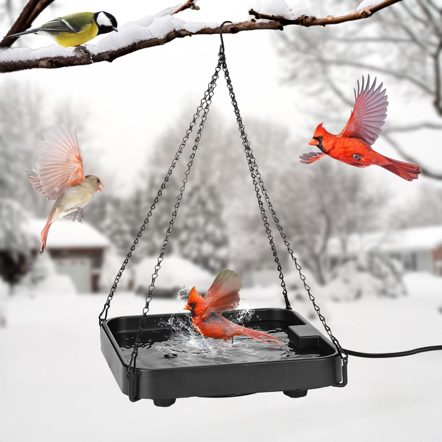 Amazon.com: Hanging Heated Bird Bath for Outdoors Winter - 75W Birdbath ...