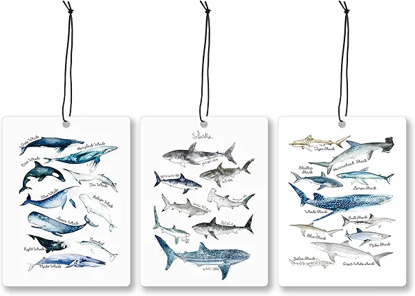 Mancheng-zi Ocean Beach Shark Car Air Freshener 3Pcs, Gifts for Shark Lovers Air Freshener Hanging for Cars Closet Drawer or Books, Coastal Beach Car Accessories Mirror Decor for Women