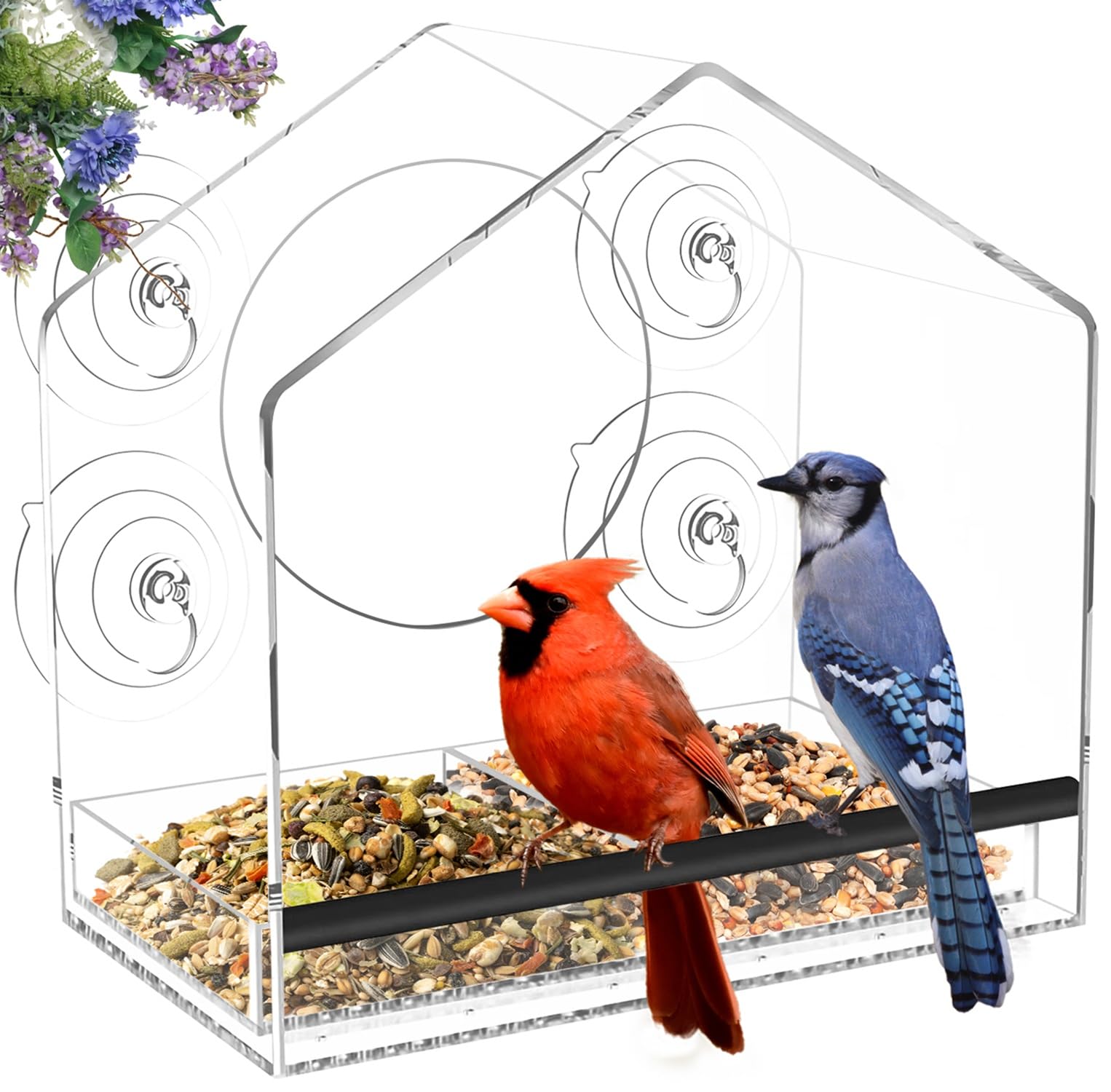 Comedero para pájaros con ventana transparente para exteriores, comederos para pájaros con ventana transparente grande para ver con ventosas fuertes, comedero para pájaros montado en ventana