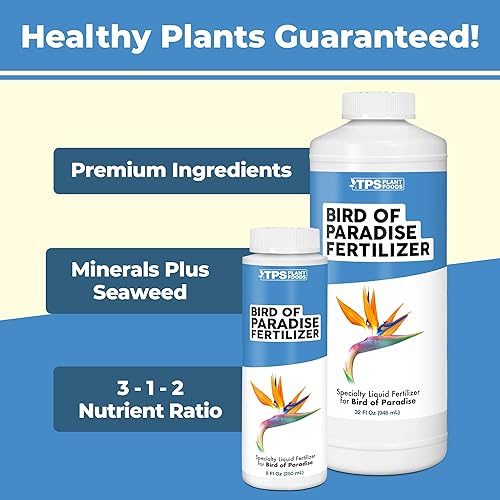 Miniatura 5 de Bird of Paradise Fertilizante para todas las plantas Strelitzia, alimento líquido para plantas, 8 oz (8.5 fl oz)