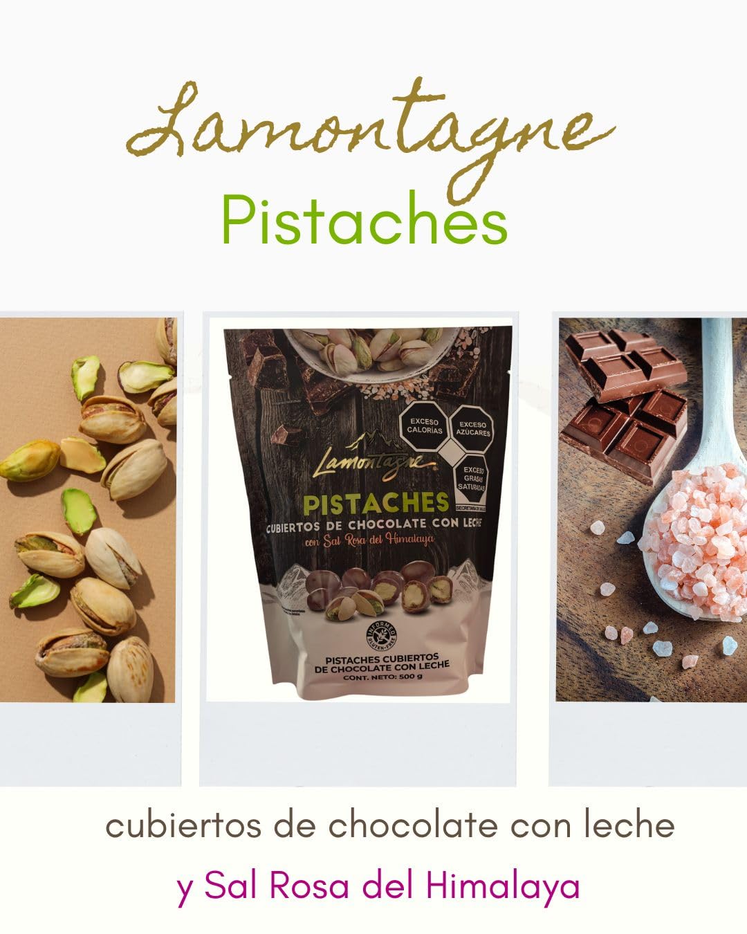 LAMONTAGNE Milk Chocolate Covered Sea Salt Pistachios with Pink Himalayan Salt, 17.68 Ounce (500 g) + NAJD LLC Sticker + Reusable Ice Packs.