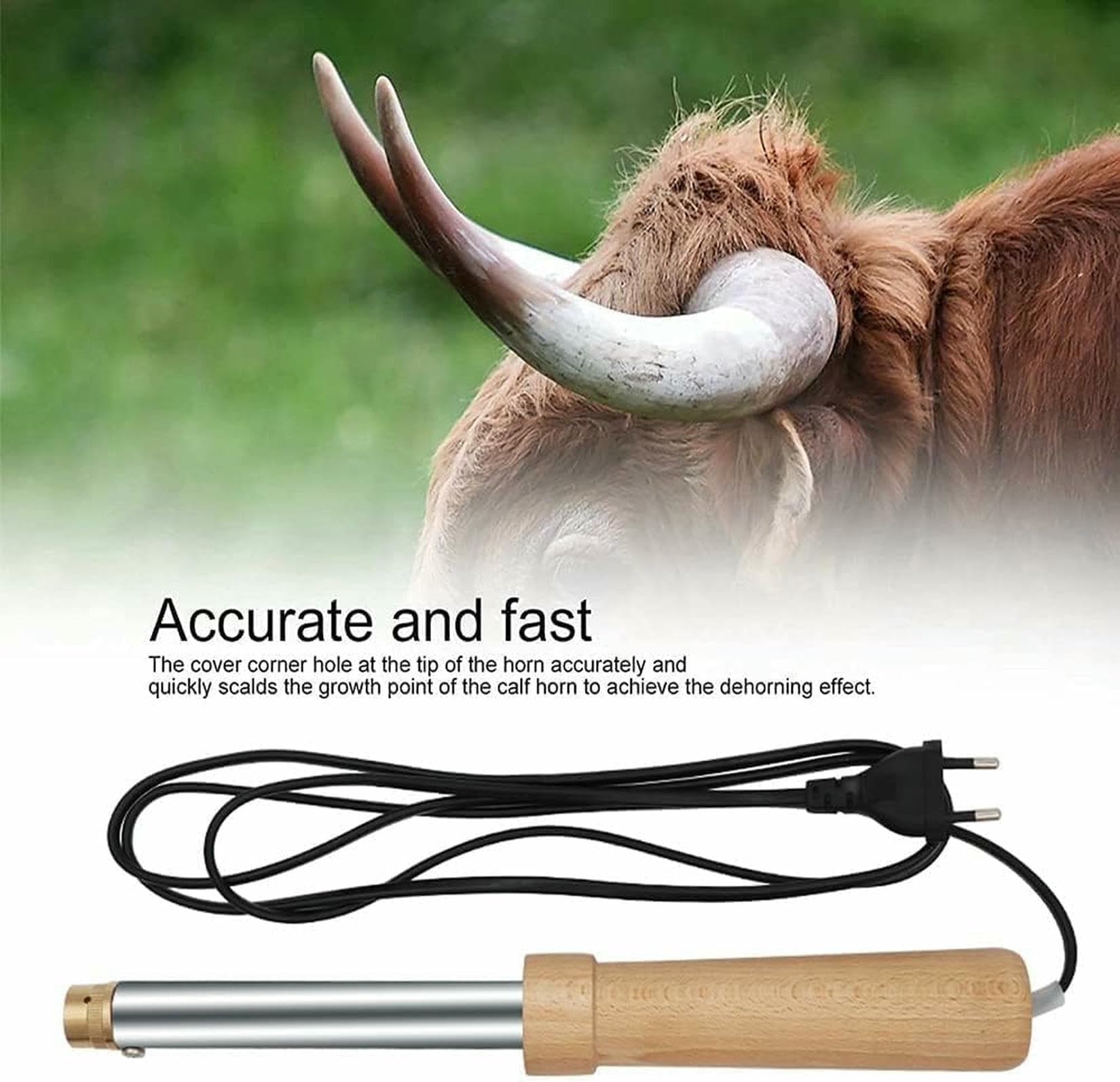 Dehorner Elettrico Per Bestiame, Dehorner Elettrico Per Capre, Dispositivo Di Rimozione Del Corno Di Pecora Senza Sangue, Attrezzature Agricole E Strumento Di Allevamento Per Bestiame E Vitelli