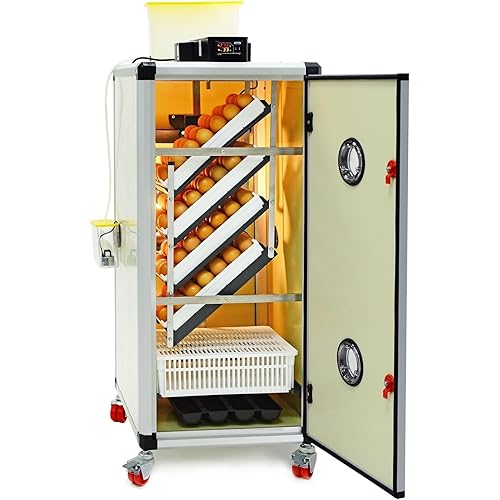 Incubators for Hatching Eggs – HB175C Egg Incubator Setter & Hatcher Combo, Automatic & Self-Regulated Temperature & Humidity, Chicken Egg Incubator, Professional Poultry Incubator by Cimuka
