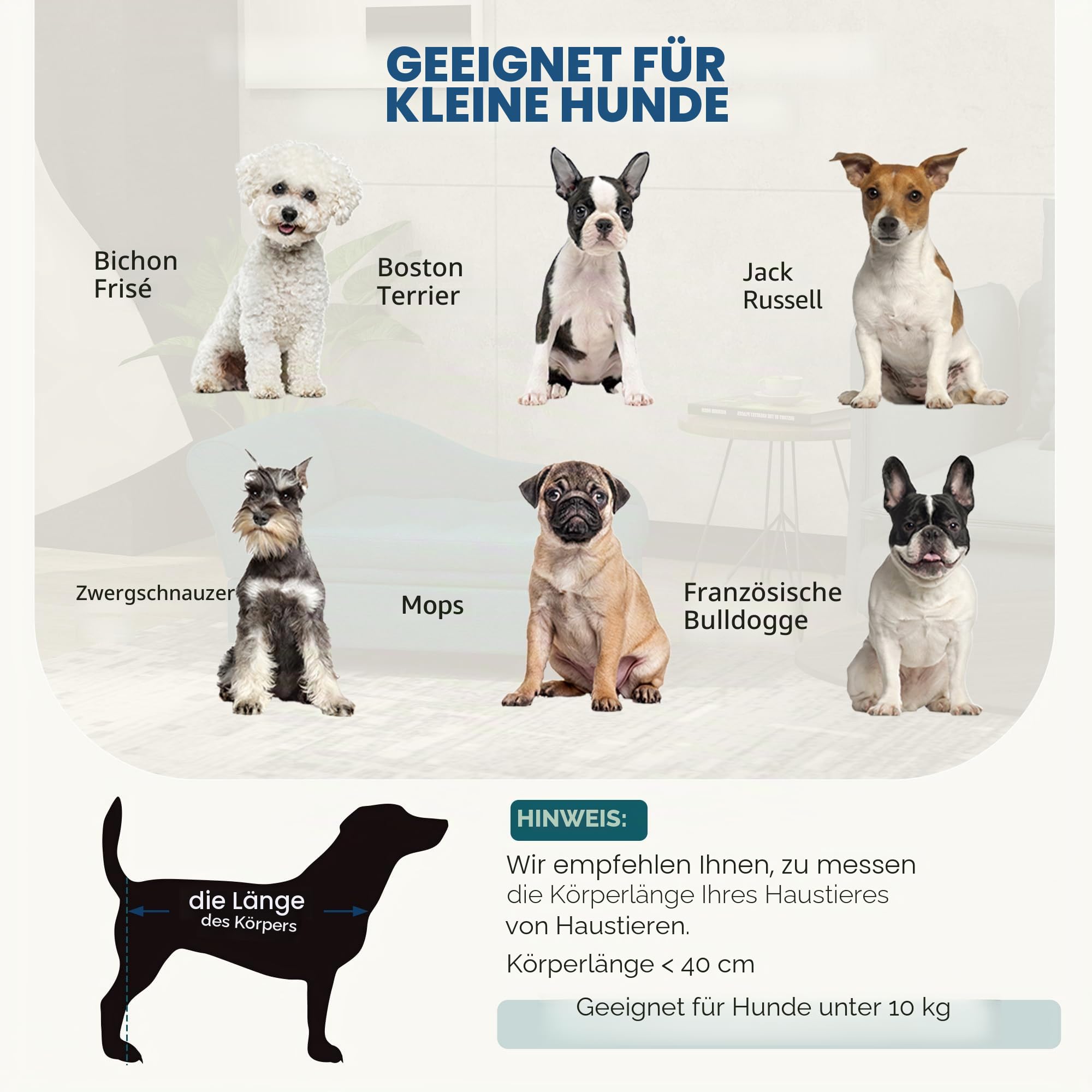 PawHut Sofa für Hunde und Katzen, auf Fuß, mit Aufbewahrungsbox, moderner Stil, abnehmbares Sitzkissen, hoher Komfort, 76 x 45 x 43 cm, Grün