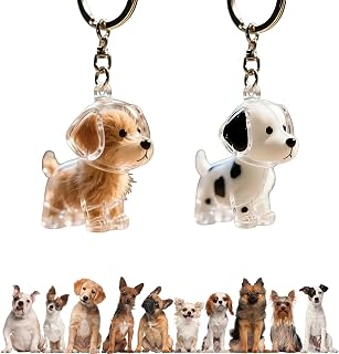 犬の毛収集キーホルダー 透明収納ボックス 記念ボトル 抜け毛収納キーホルダー ペット 遺毛 透明 ケース 犬 毛を入れる メモリアルグッズ かわいい 2個セット