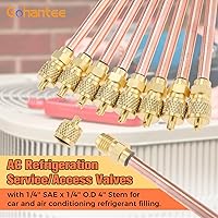 Vista 2 de Válvula de acceso/servicio 10PCS 1/4 '' SAE x 1/4 '' OD x 4 '' núcleo de vástago de refrigeración AC