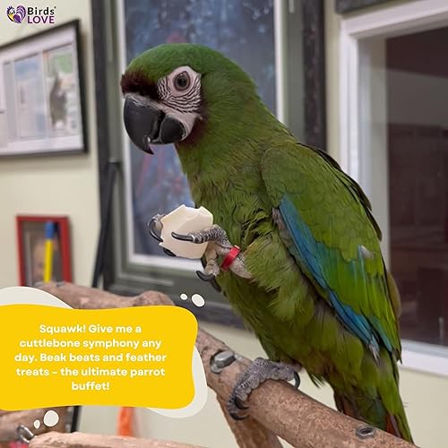 Miniatura 5 de Birds LOVE Natural Cuttlebone  Suplemento de calcio y minerales traza premium para especies aviares, tortugas y caracoles  Hueso puro para