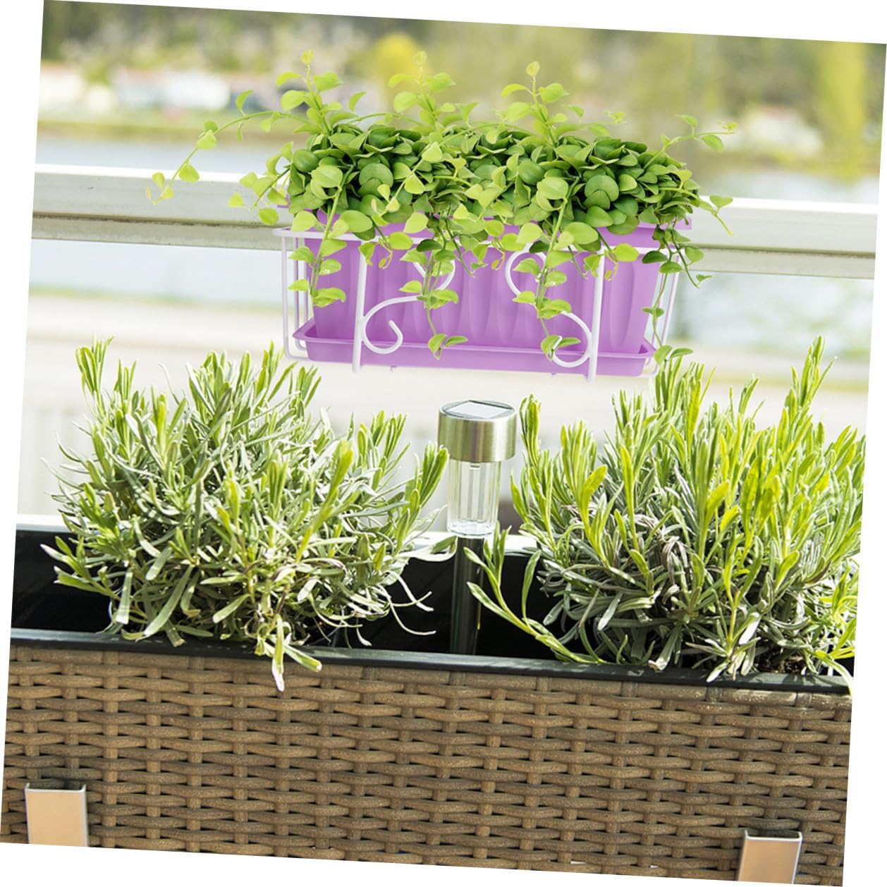 Large Rectangular Hanging Planter Pot Set with Purple Flower Pot, White Metal Bracket, and Saucer for Vegetable Growing and Windowsill Herb Garden in Medium Size