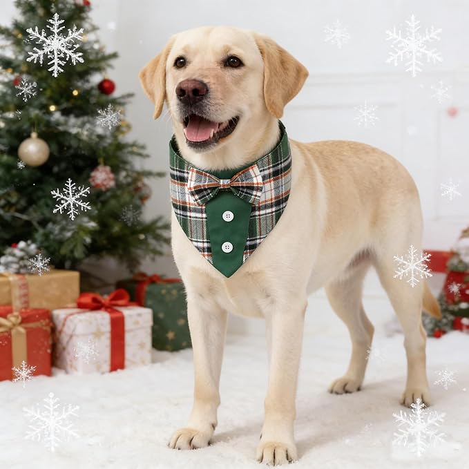 Disfraz de Tuxedo Verde con Corbata para Perro XS miniatura 3