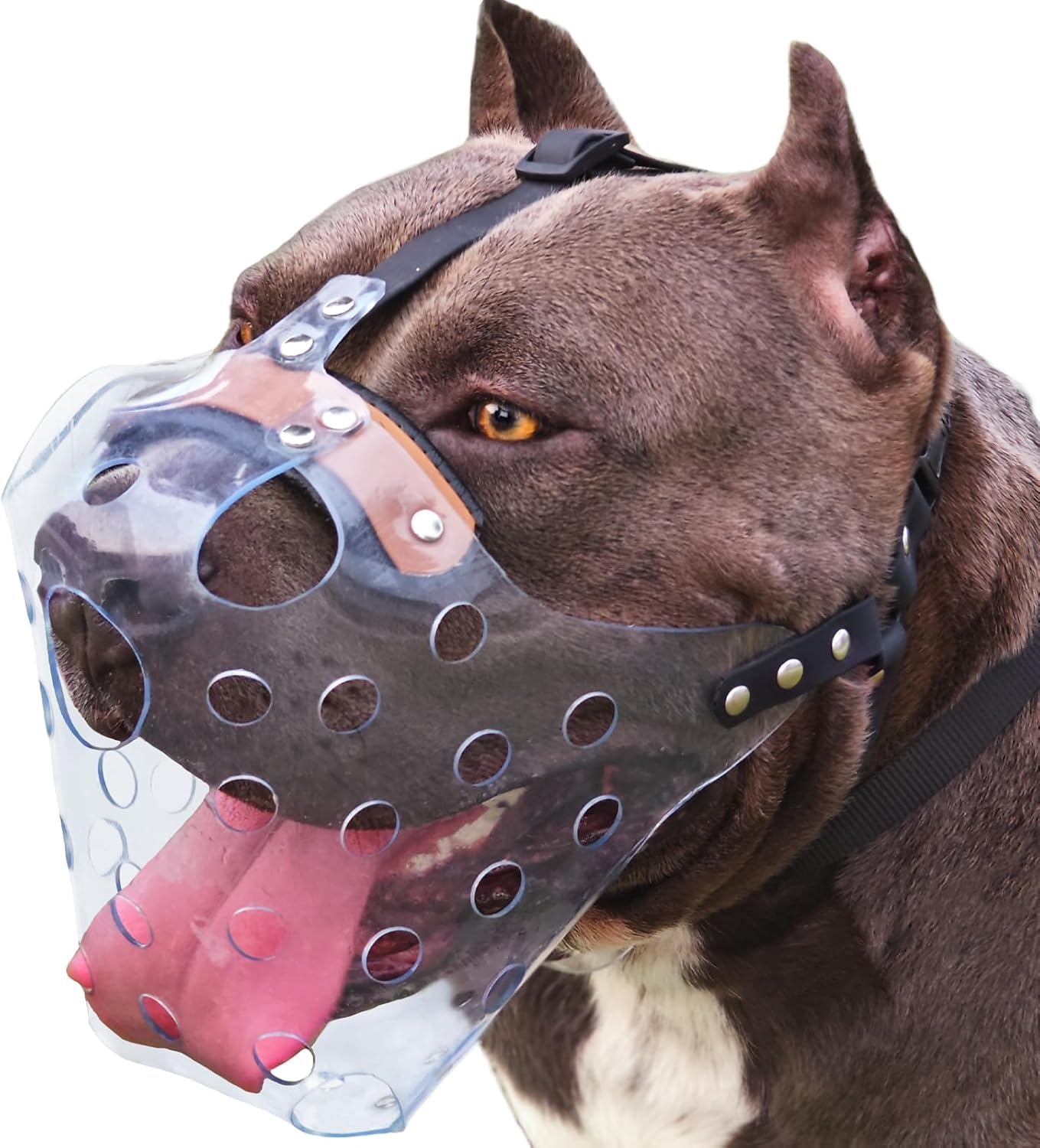 Mayerzon Pitbull Muzzle