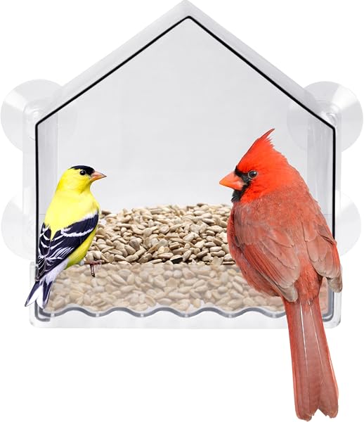 Natures WayClear View Window Bird Feeder with Strong Suction Cups