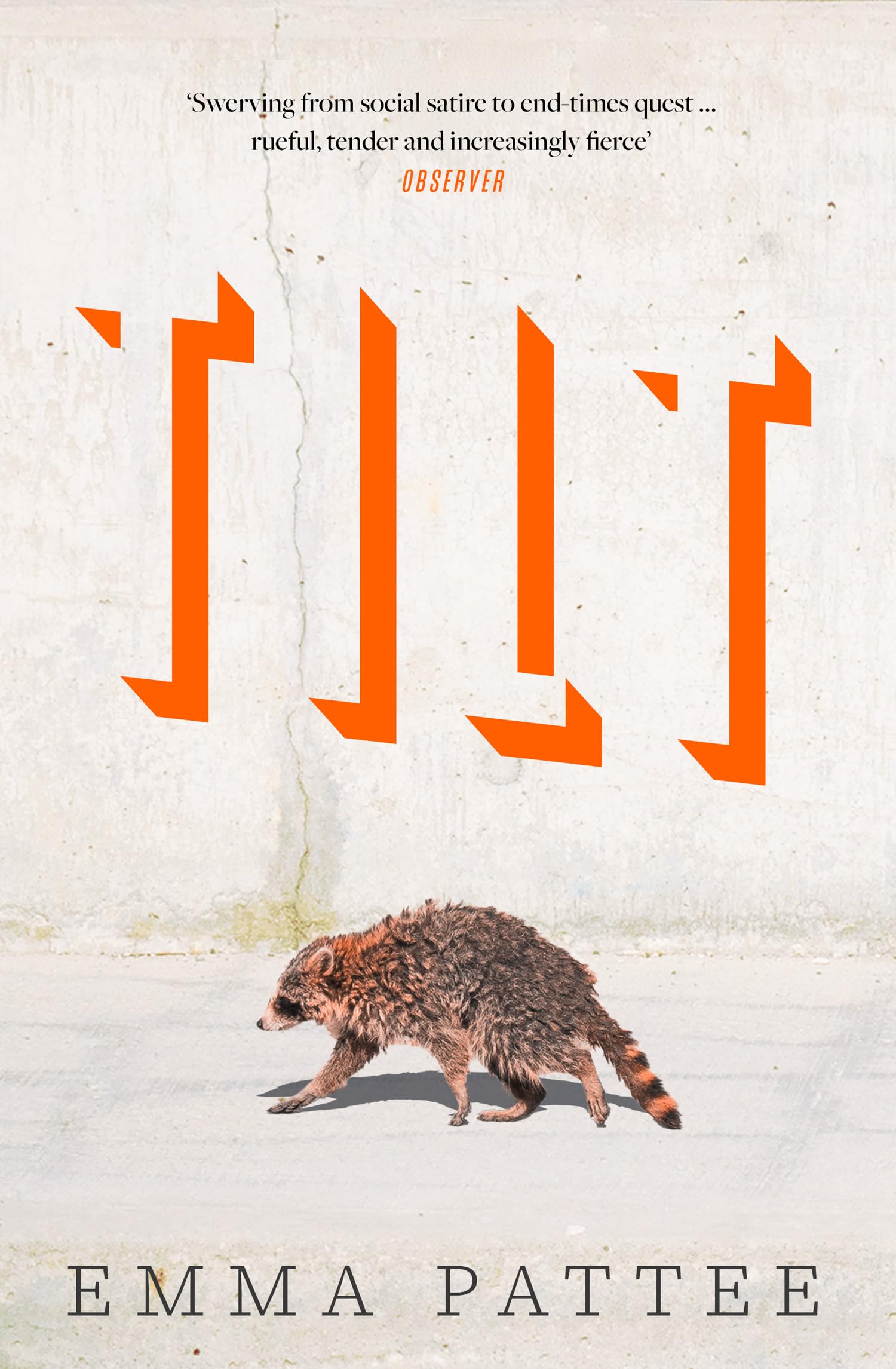 Tilt: A thrilling literary debut about how we confront disaster