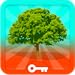Escapar del Bosque Oscuro - Juegos de Escape