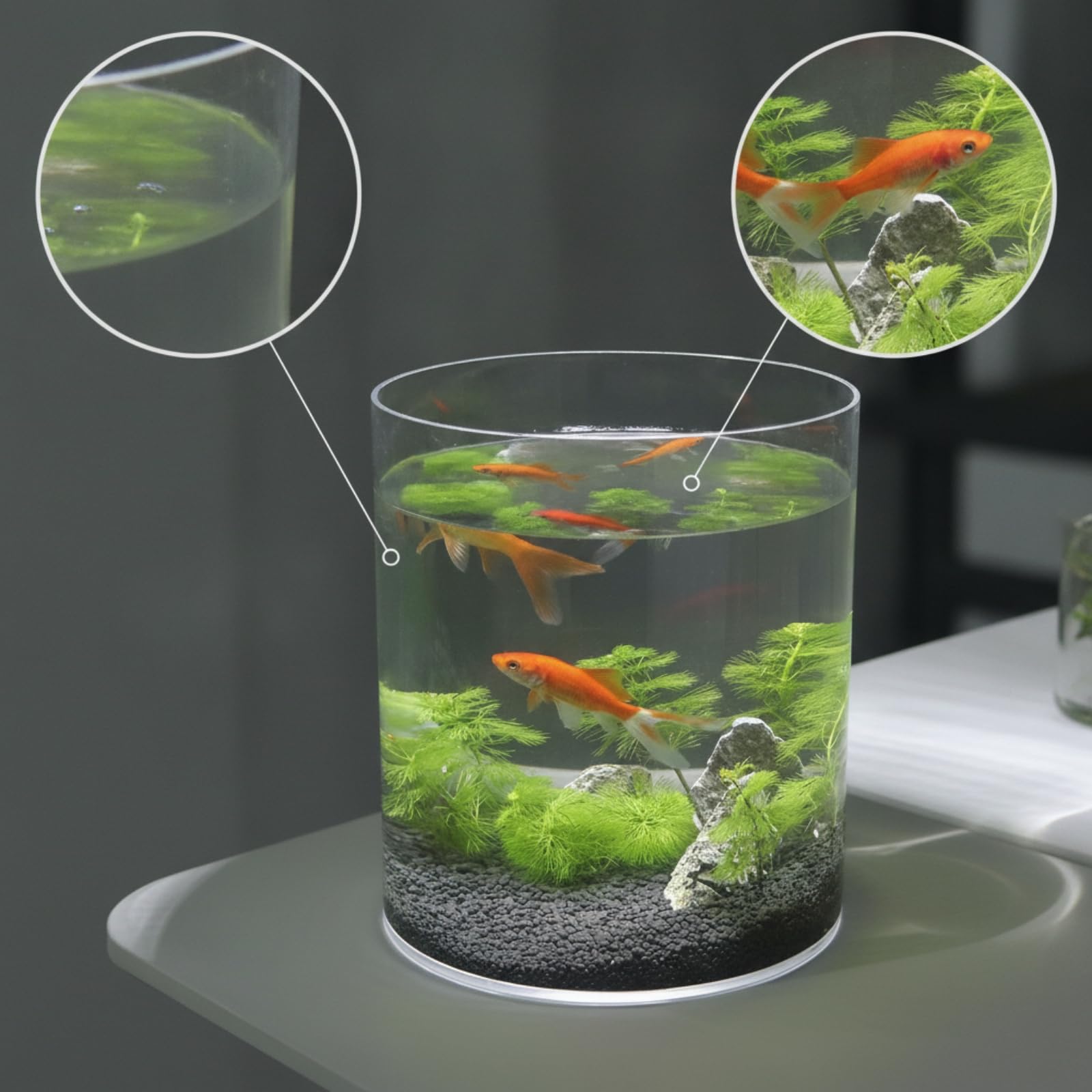 2 Piezas Acuario de Vidrio Cilíndrico Tanque Pecera Recipiente Florero Transparente Apertura Amplia Limpieza Cómoda Adecuado para Acuariofilia, 20 Cm X 40 Cm