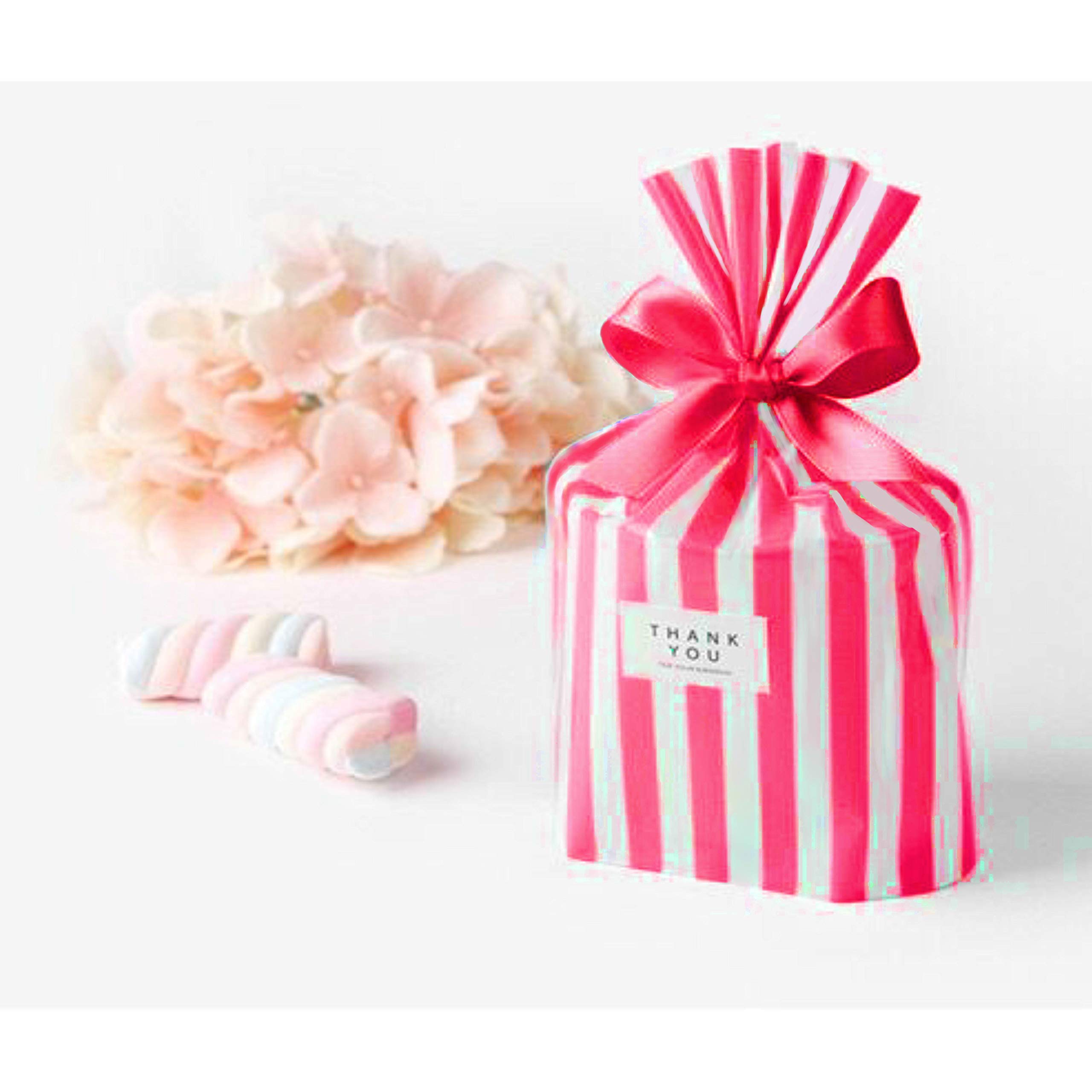 Red & White Stripes Cellophane Bags - 20 Pack, Perfect For Candy, Party Favors, Baked Goods & Gift Wrapping