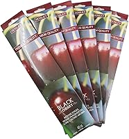 Vista 1 de Hosley Paquete de 120 varillas de incienso + paquete de 120 unidades (total 240), cereza negra, paquete a granel perfecto para el hogar, meditación