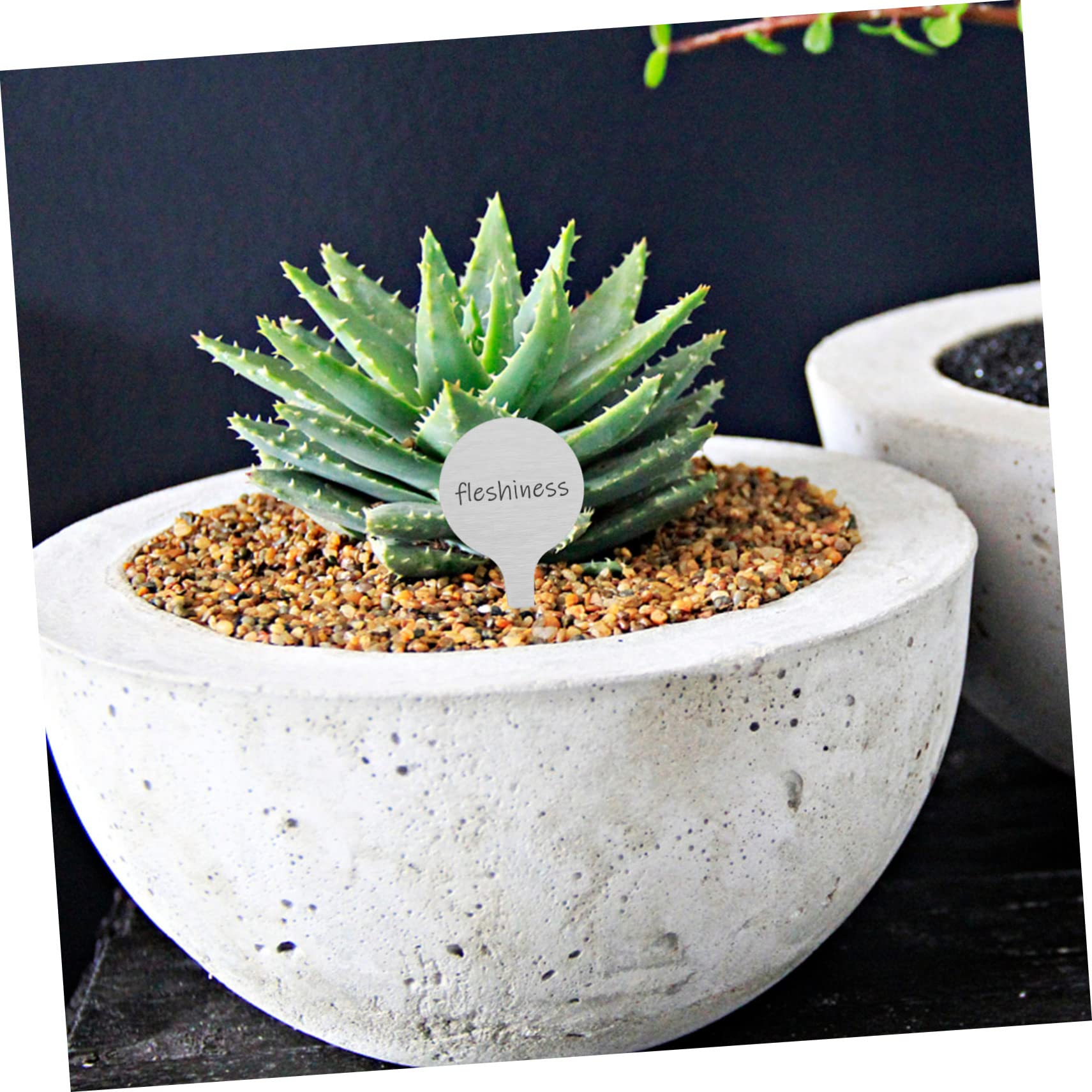 ORFOFE Lot De 3 Étiquettes Rondes En Métal Pour Plantes En Acier Inoxydable Pour Le Jardinage Les Fleurs Et Les Pépinières 50 Pièces X 3