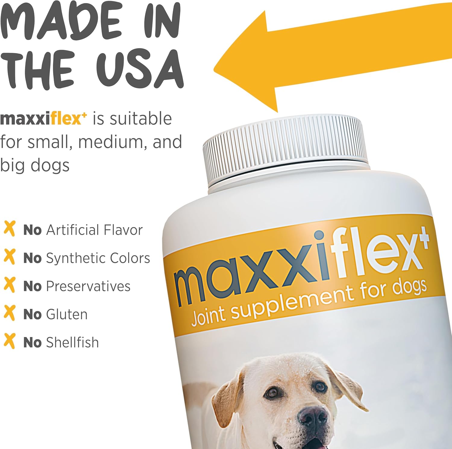 maxxipaws - maxxiflex+ Hip & Joint Supplement for Dogs with Glucosamine, Chondroitin, MSM & Collagen | Mobility, Flexibility & Discomfort Support | Senior, Adult & All Breeds | 120 Tablets