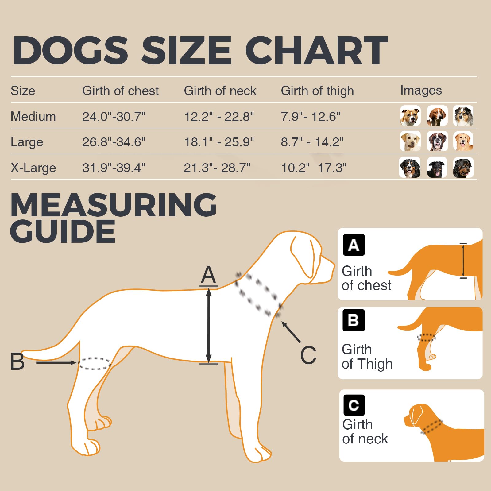 Tutore per ginocchio per cani per gambe strappate, rotula lussante, artrite e dolori articolari, tutore per legamento crociato per cani, con stecca in metallo, supporto incernierato per CCL,