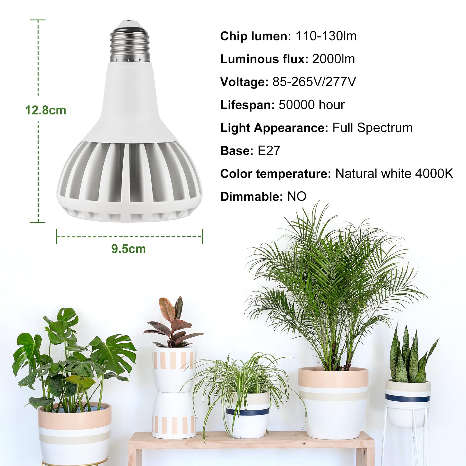 ZENITHTOP 20W Full Spectrum LED Grow Light for Indoor Plants,Plant Grow Bulb for Indoor Plants Seeding Succulents Cactus,Germination of Seedlings Plant Lights E27 4000k - Image 3