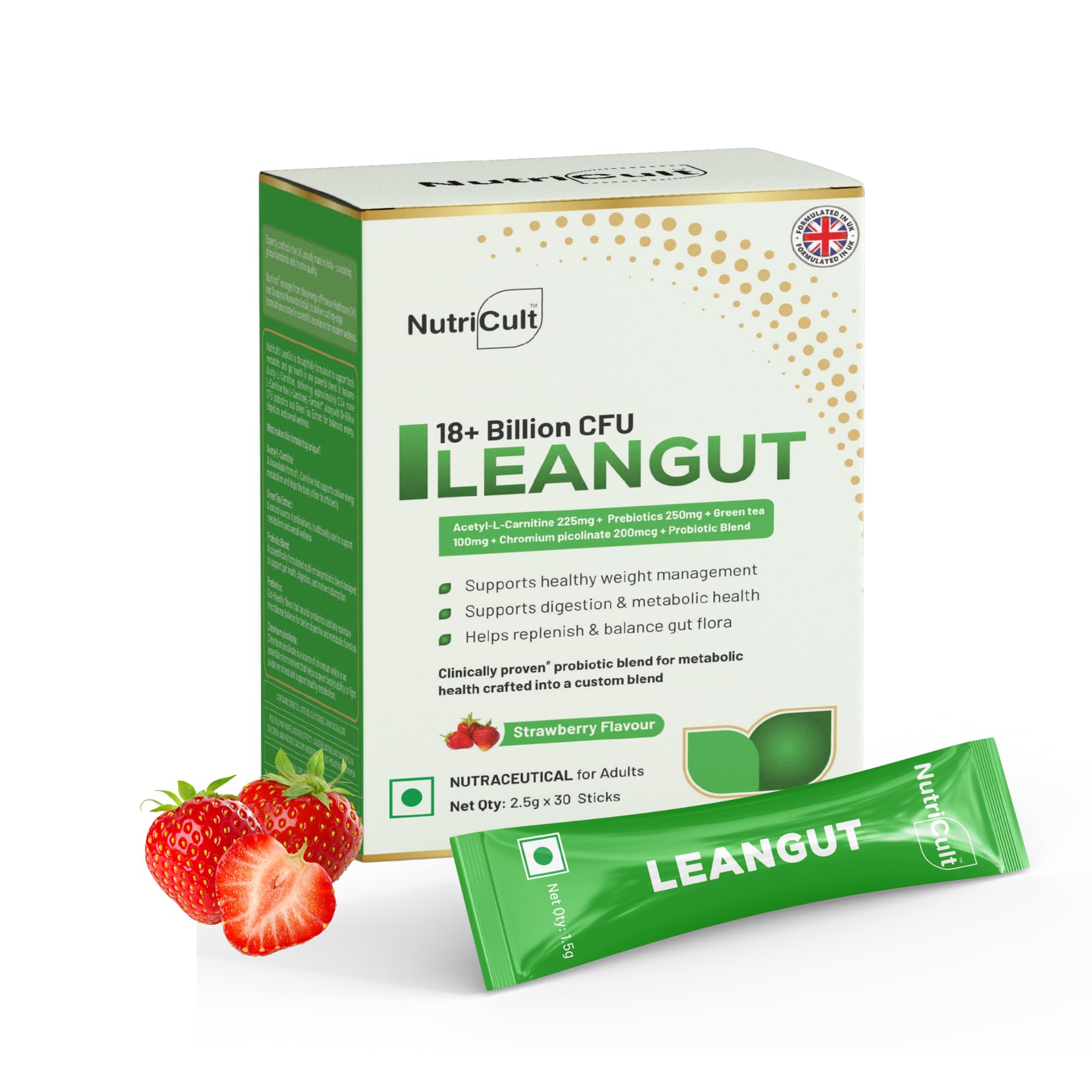 acetyl l carnitine and green tea L-Carnitine + Capsules Manufacturer L-Carnitine Green Tea Activlab