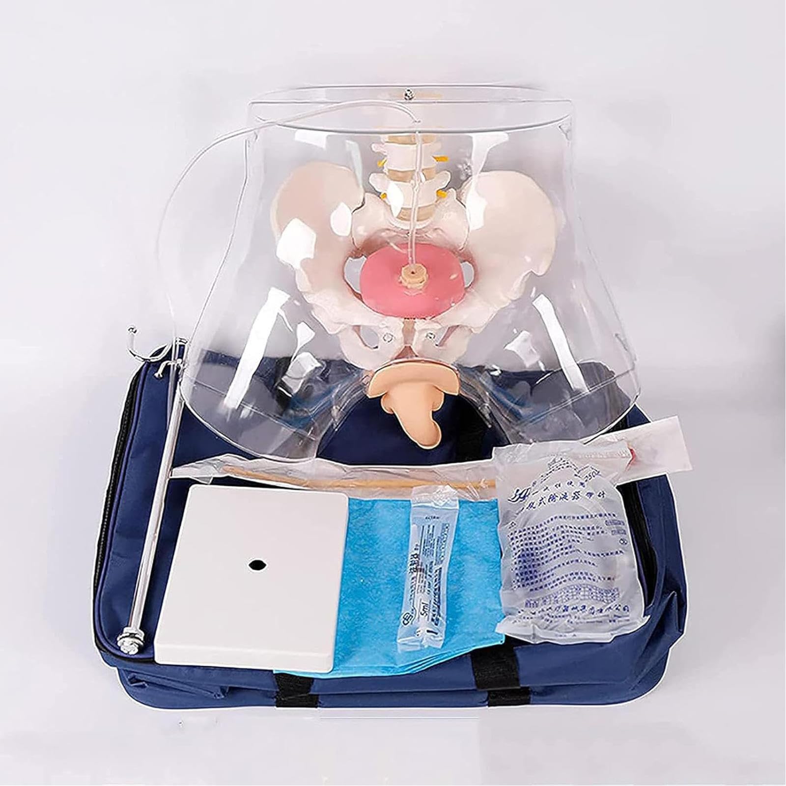 Modèle de Cathétérisme Masculin, Modèle D'enseignement de Mannequin, Modèle de Cathétérisme Masculin Transparent Avancé pour La Pratique des Médecins et des Infirmières