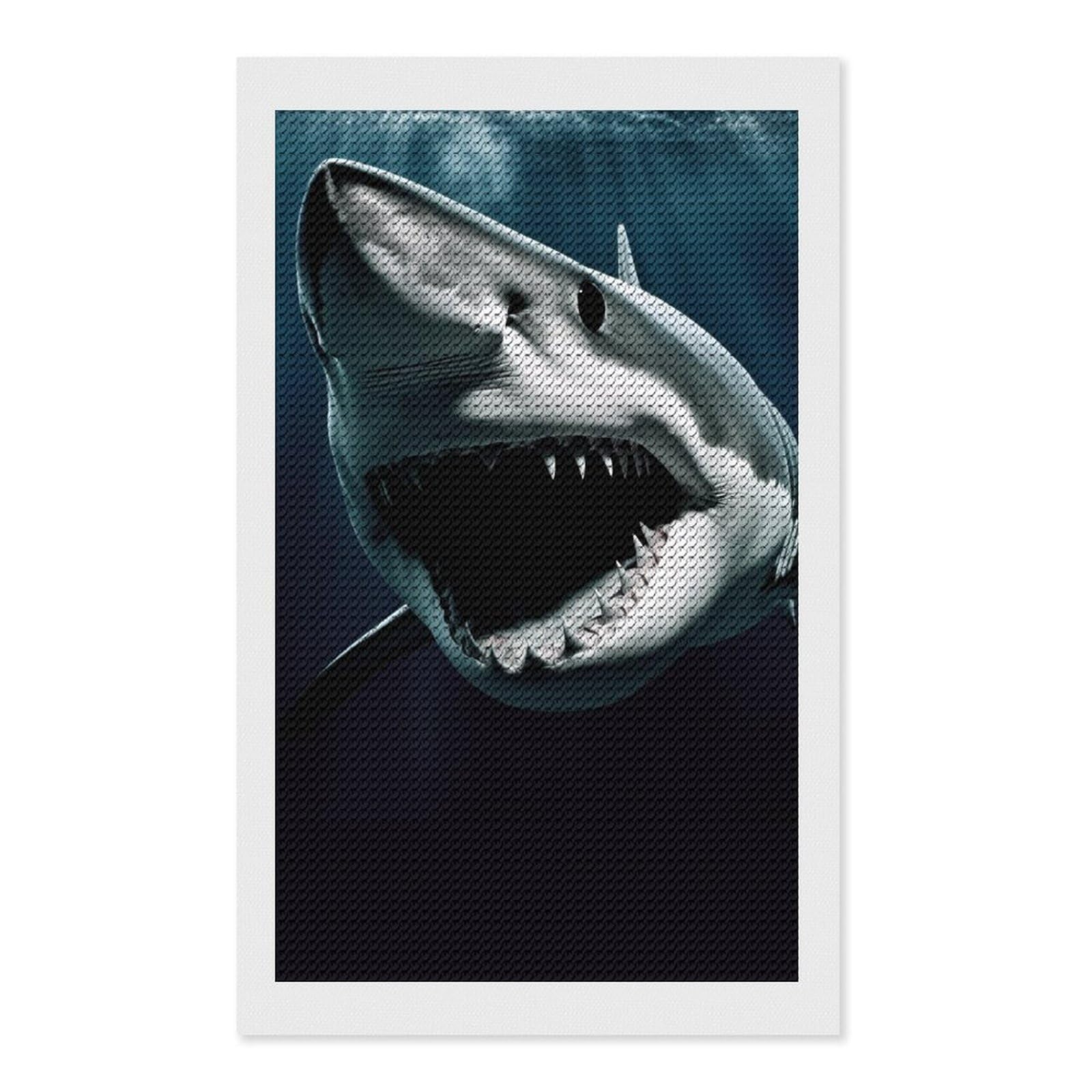 Shark Diamond Art Kits for Adults, DIY 5D Diamonds Painting Kits for Beginner, Round Full Drill Diamond Dots Painting, Diamonds Pictures Gem Art and Crafts Wall Decor 12"x20"