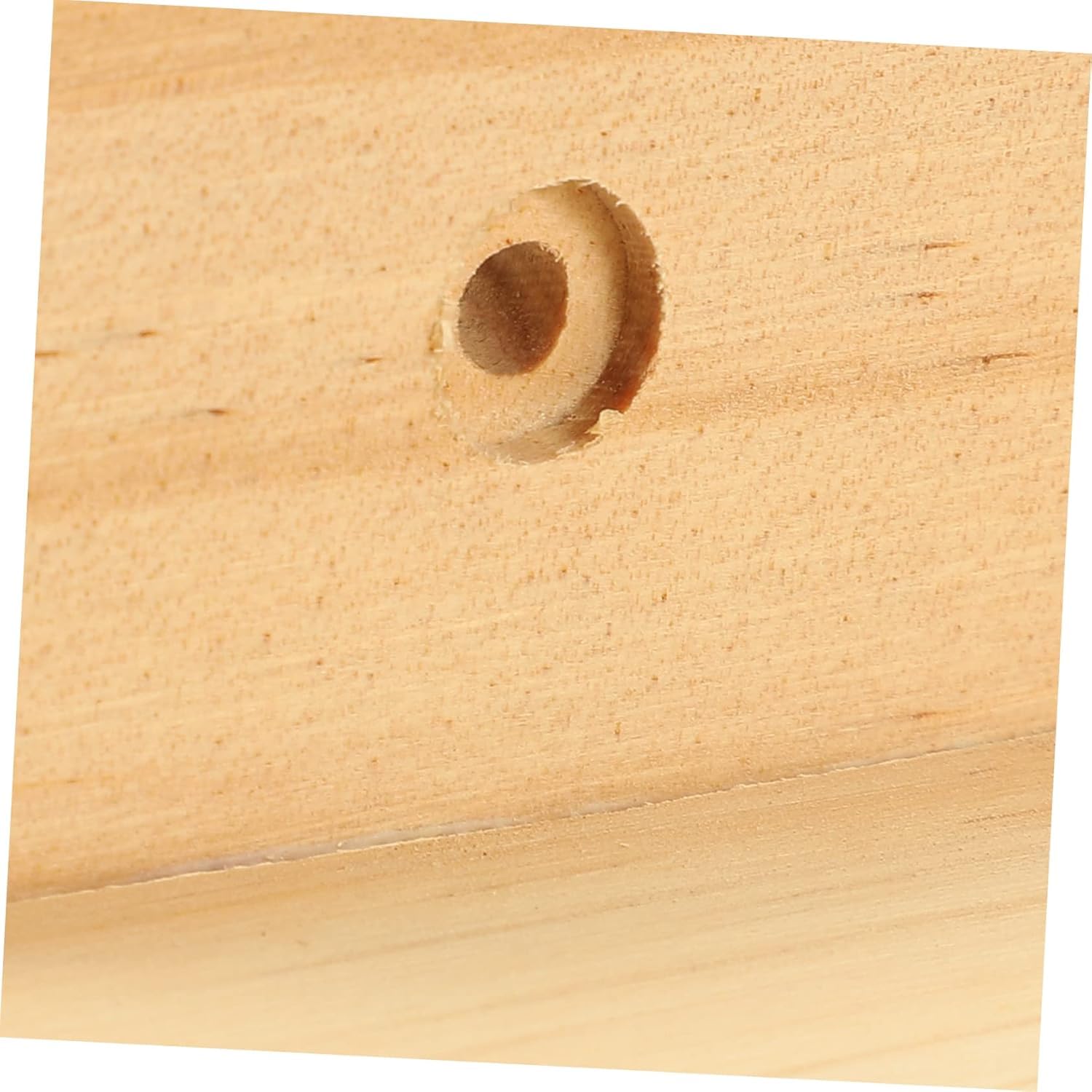 Mensola galleggiante in legno in stile nordico, elegante decorazione da parete per camera da letto e soggiorno, supporto compatto per piante e oggetti, finitura in legno e noce, soluzione moderna per