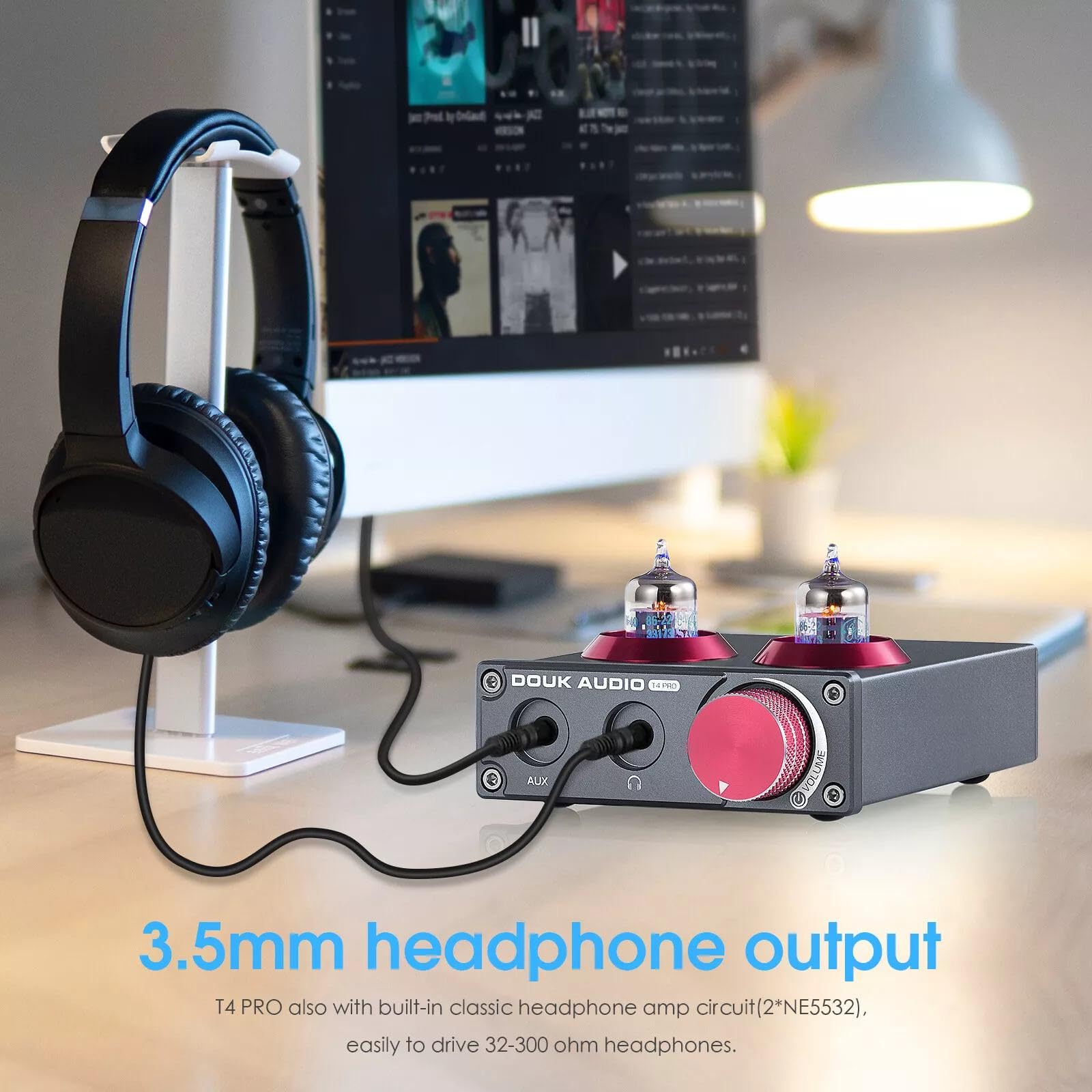Douk Audio Mini 5654 Tubo di Vuoto Preamplificatore Phono Home Stereo Audio Preamplificatore Cuffia Amp (T4 PRO)