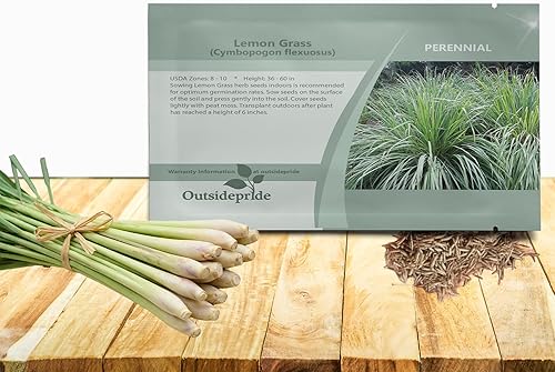 Outsidepride Semillas de hierba de limón para plantar, 1000 semillas perennes, repelente de mosquitos, a prueba de ciervos, hierba de citronela para