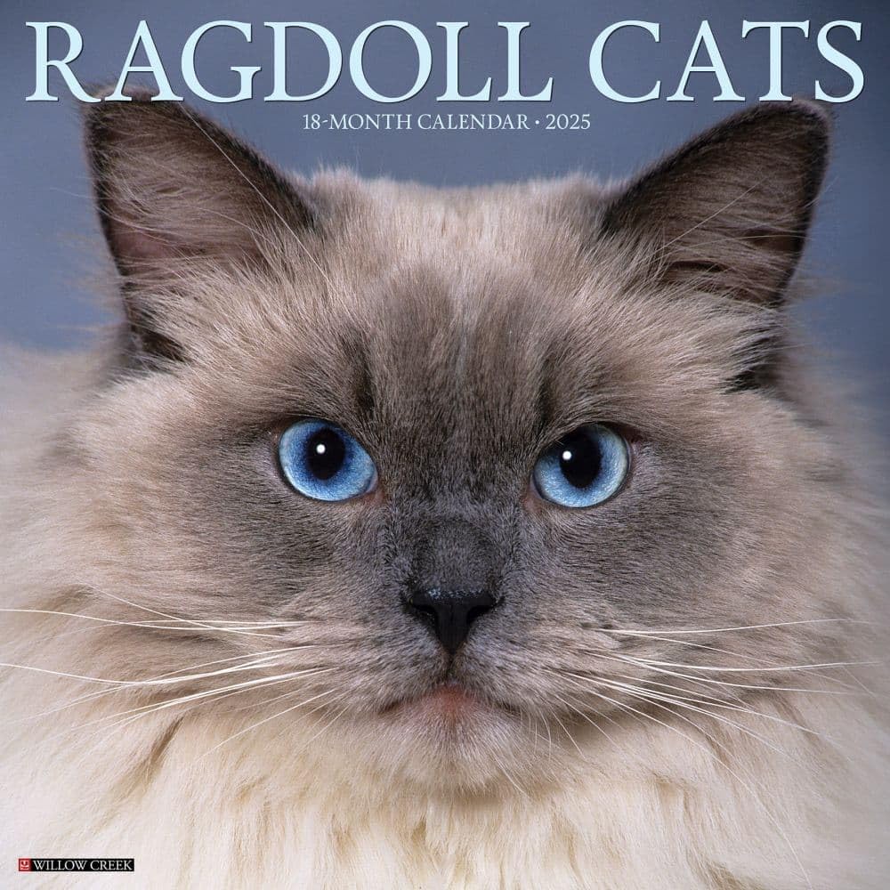 Amazon | Ragdoll Cats 2026 12 X 12 Wall Calendar | Willow Creek