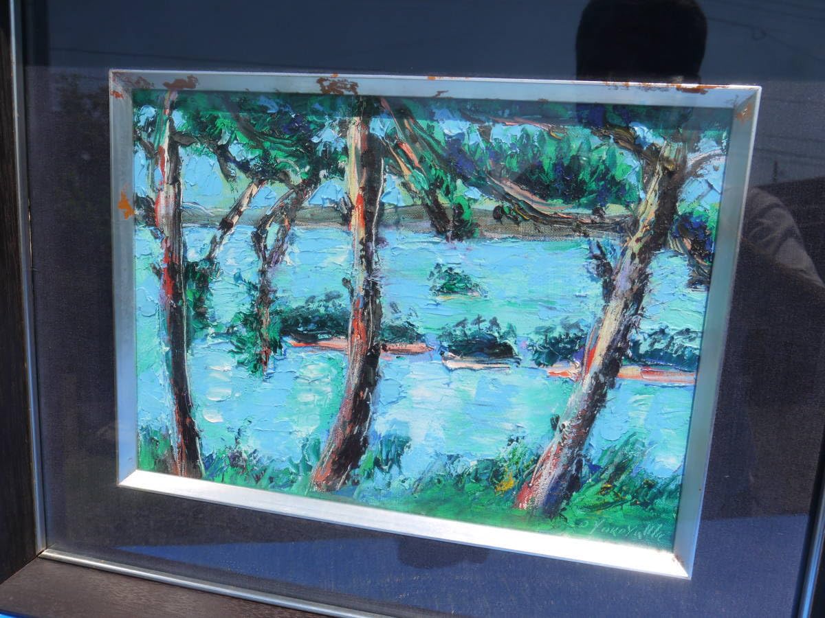 Amazon.co.jp: 2Ju29 O横山央児 油彩画「松島 双観山にて」F4号 額装