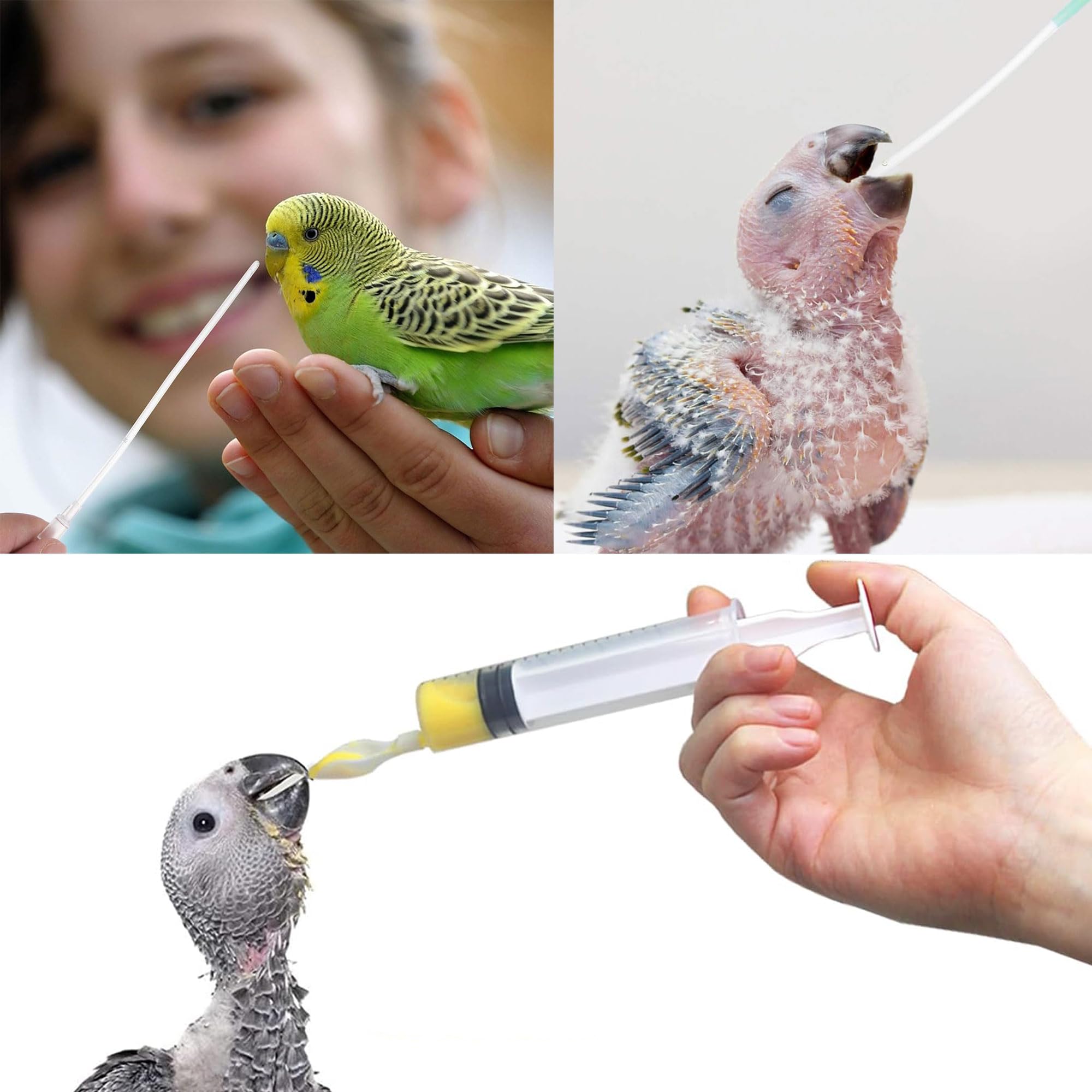 Uccelli Che nutrono siringa Tubo di Alimentazione per Uccelli Giovani siringa da 10 ml Alimentatore Pappagalli Accessori per piccioni siringa con Tubi e cucchiai per Bambino Pet Uccelli (B)