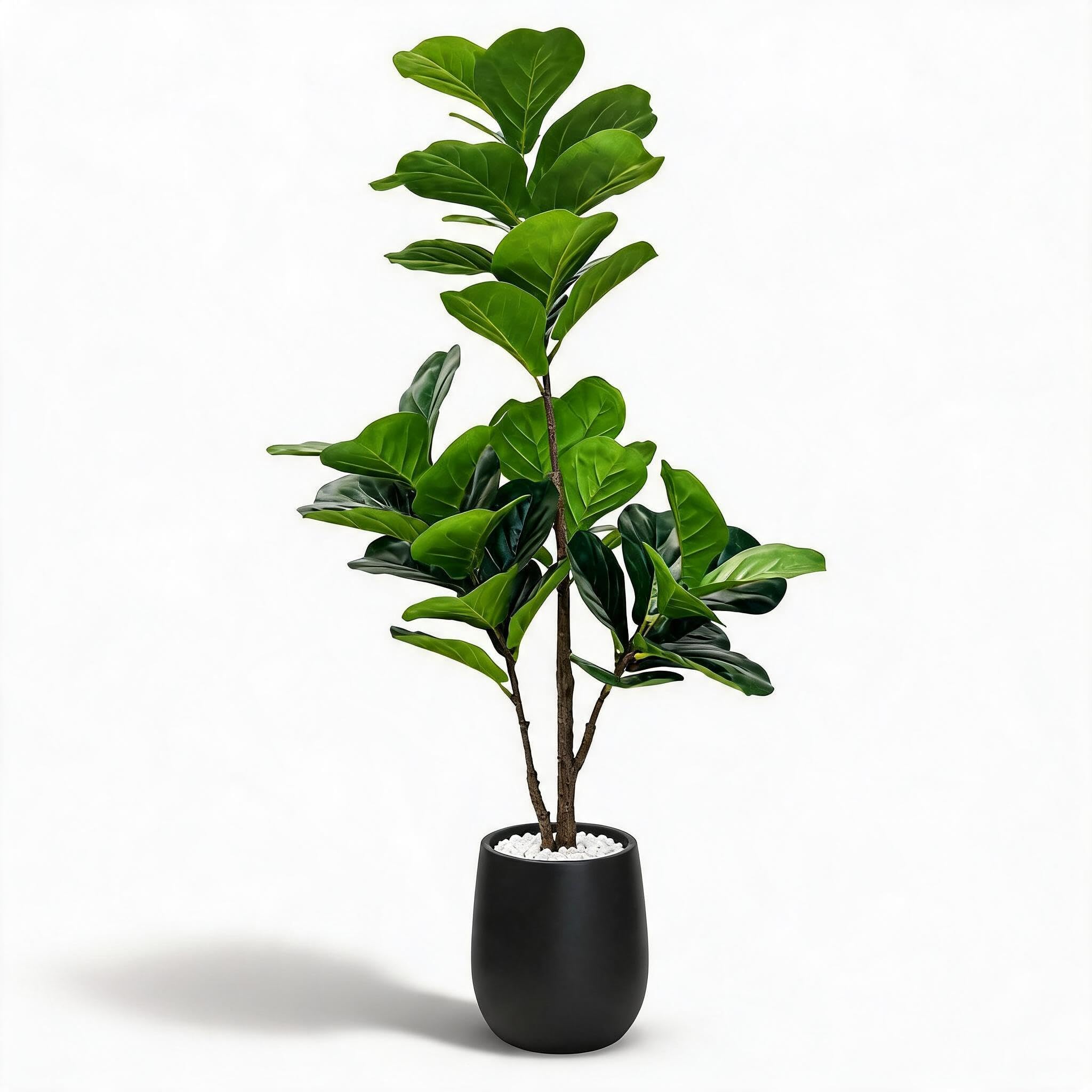 Künstlicher Kunstpflanzen Ficus Lyrata, Kunstbaum Groß Im Modernen Pflanztopf, Ficusbaum&Geigenfeigenbaum Wie Echt, Pflegeleicht, Perfekte Deko Für Wohnzimmer, Büro Usw. Schwarz-120cm
