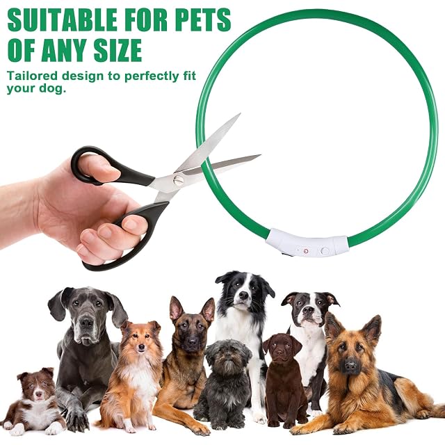 Foto 4 de 7 de GAOUTO 4 collares luminosos para perros, recargables por USB, resistentes al agua, luminosos
