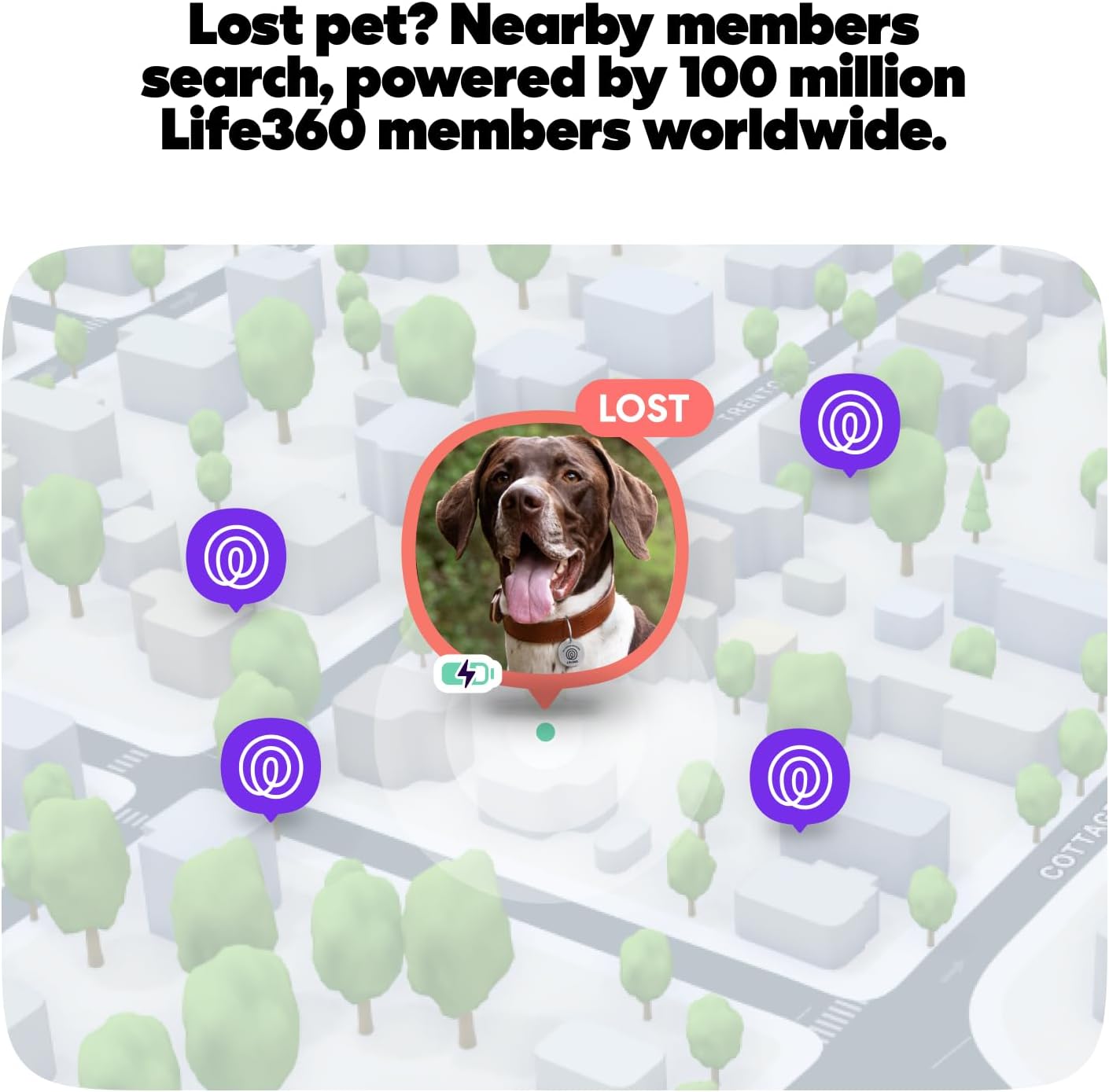 Life360 Smart QR Code Pet ID Tag for Dogs & Cats | Lost Pet Finder Network | 1-Scan to Reach You | Shared Care Reminders | No Battery or Subscription Fees | 1 Pack, Stainless Steel
