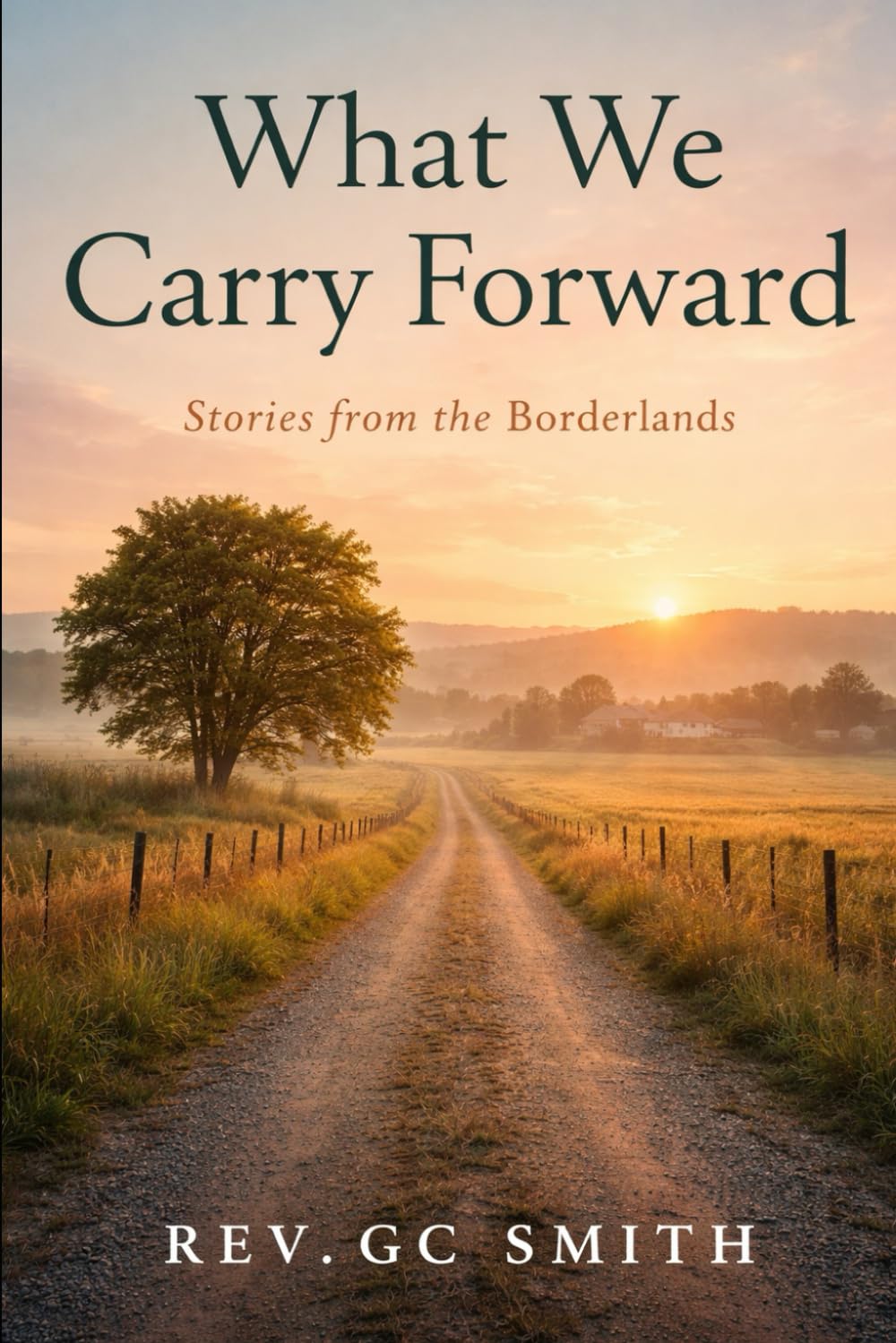 What We Carry Forward: Book 6 Stories From the Borderlands