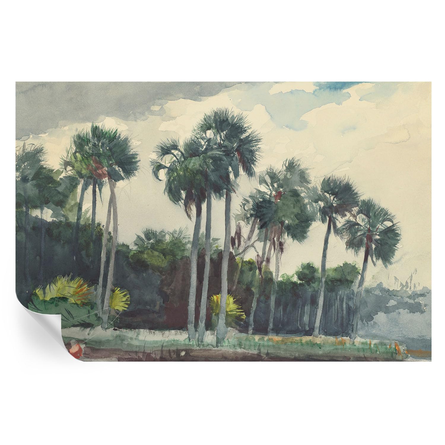 Murales y vinilos de palmeras exóticas de 104x70 cm para decoración de salón